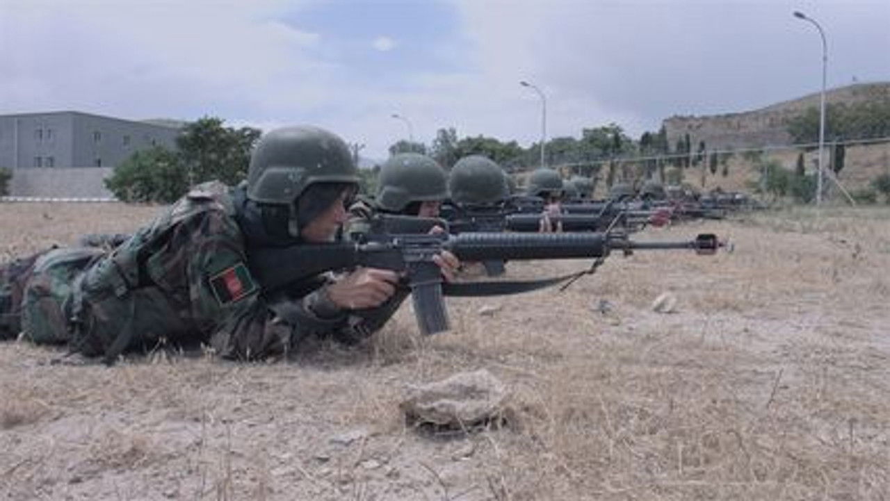 Telefacts Zomer — Épisode 1