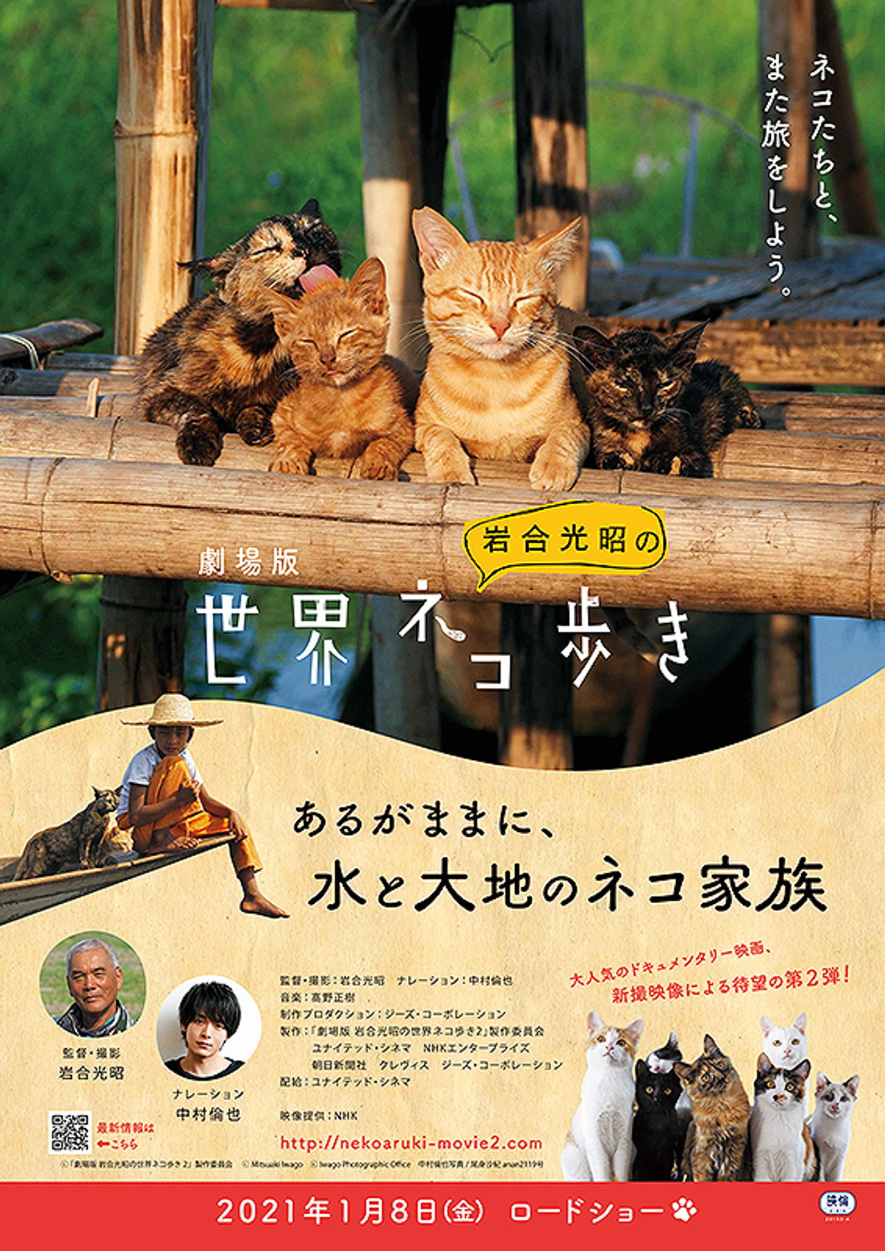 劇場版 岩合光昭の世界ネコ歩き あるがままに、水と大地のネコ家族