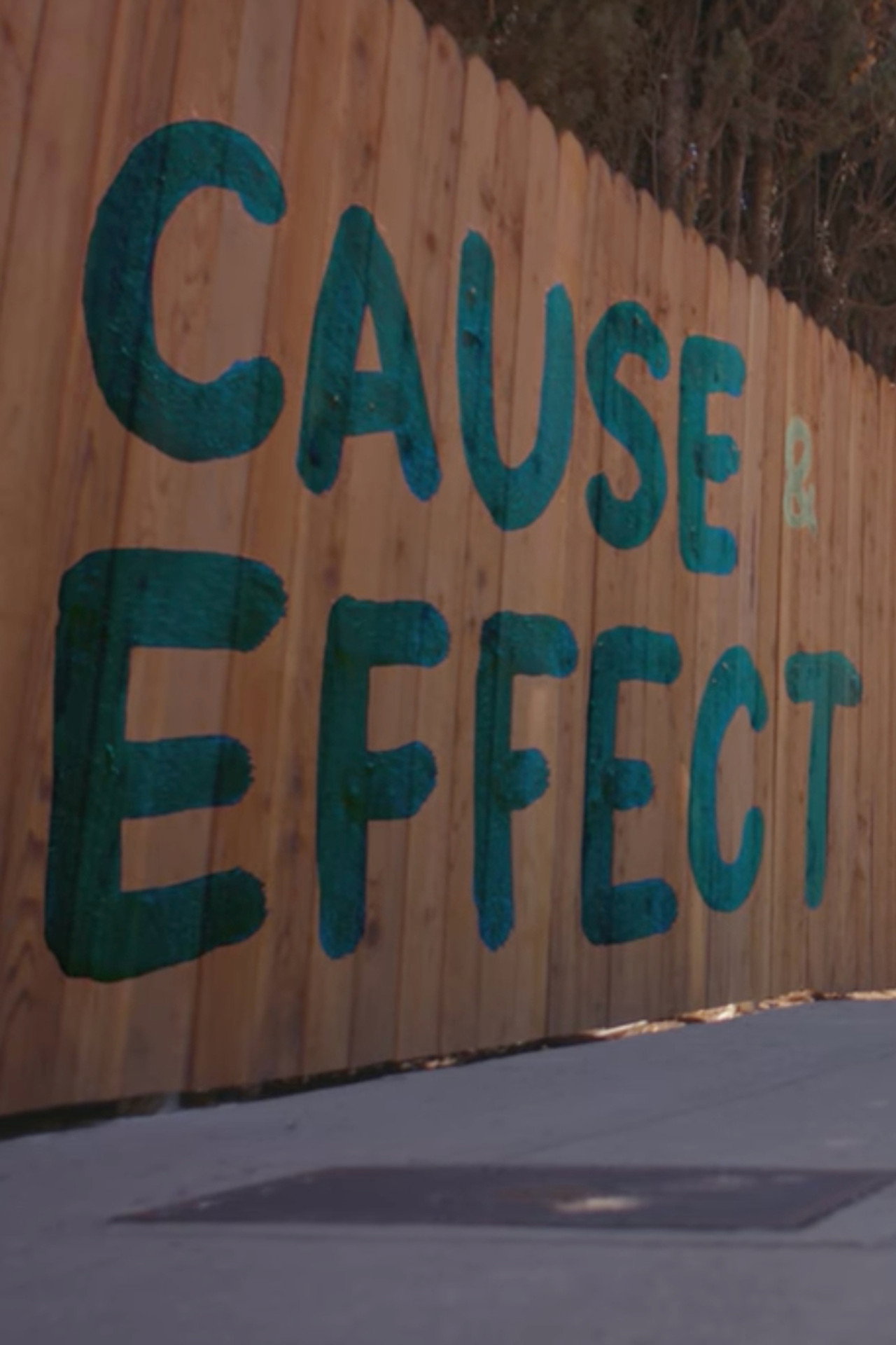 Cause & Effect
