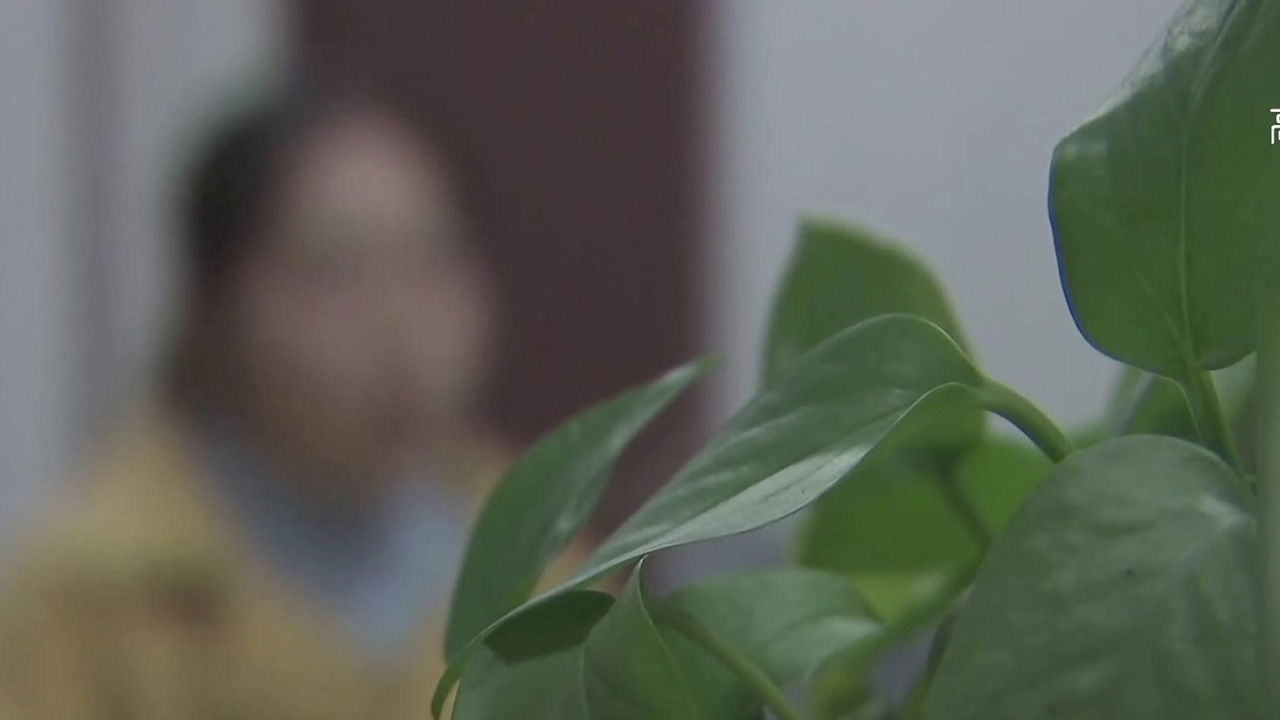 传奇故事 — Épisode 13