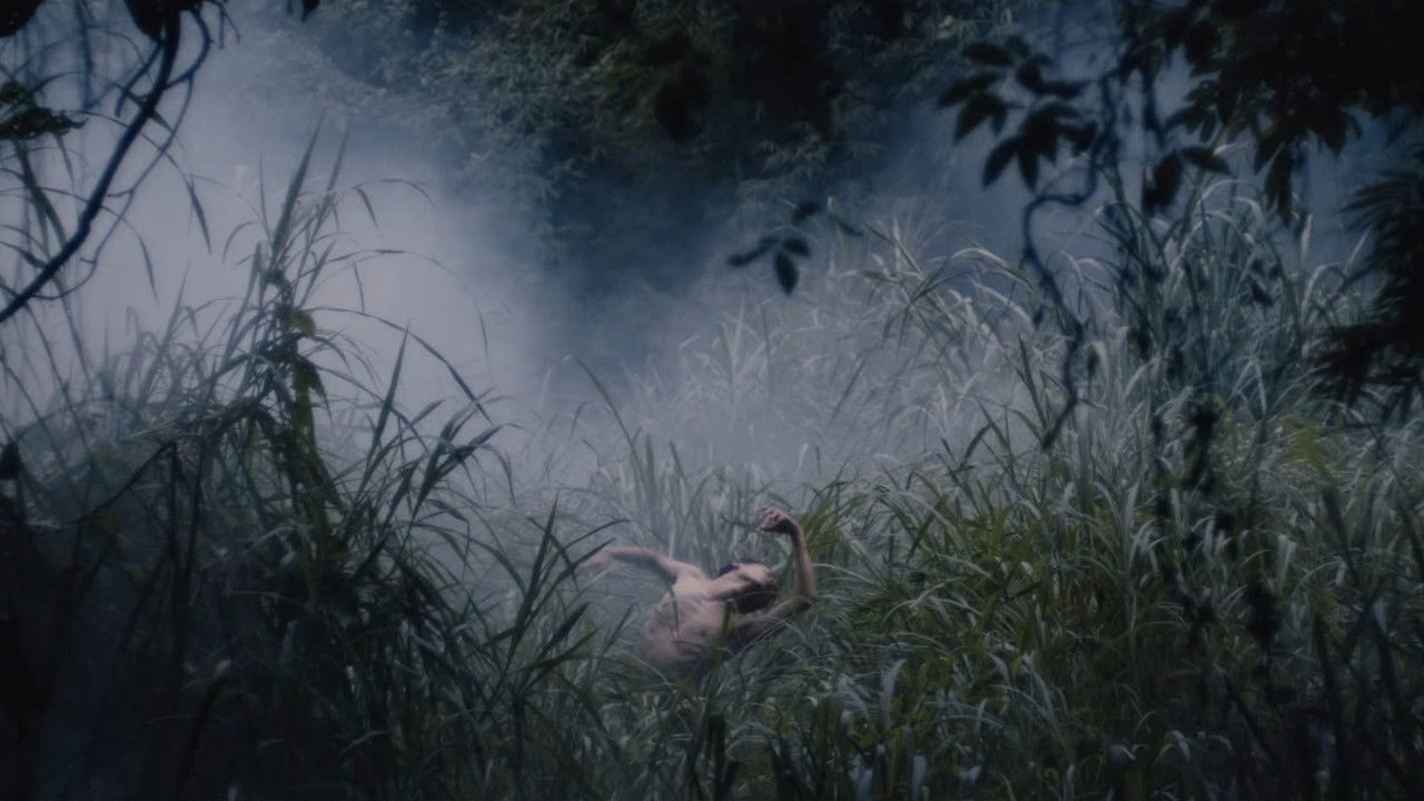 The Insecurity Echoes