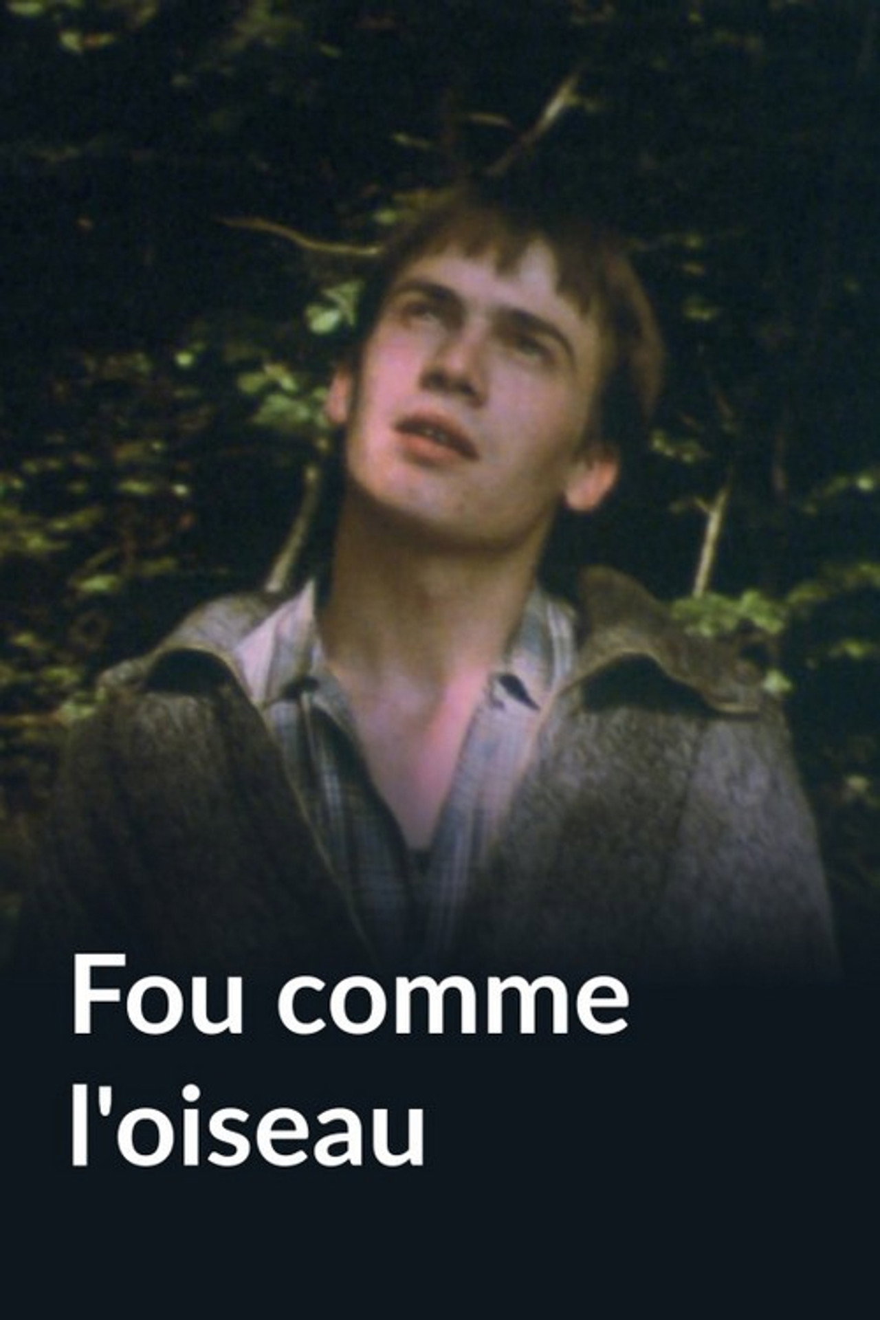 Fou comme l'oiseau filmaffisch