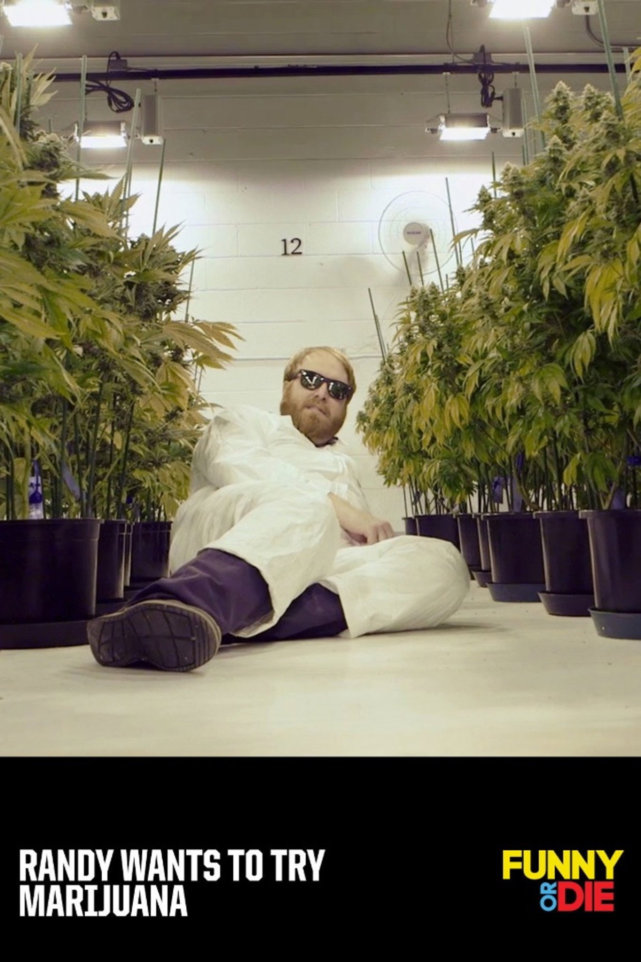 Randy Wants To Try Marijuana filmaffisch