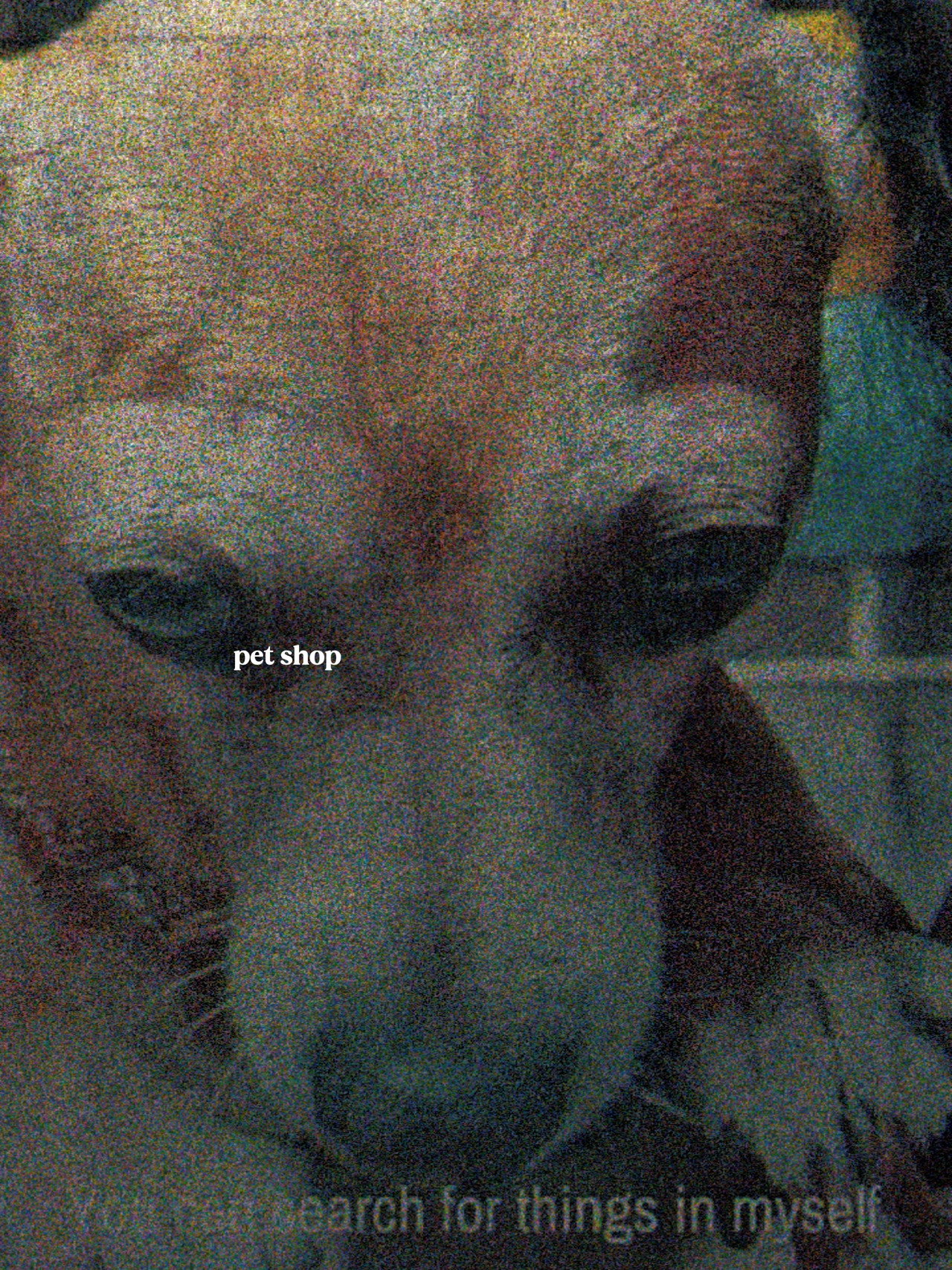 Pet Shop poster
