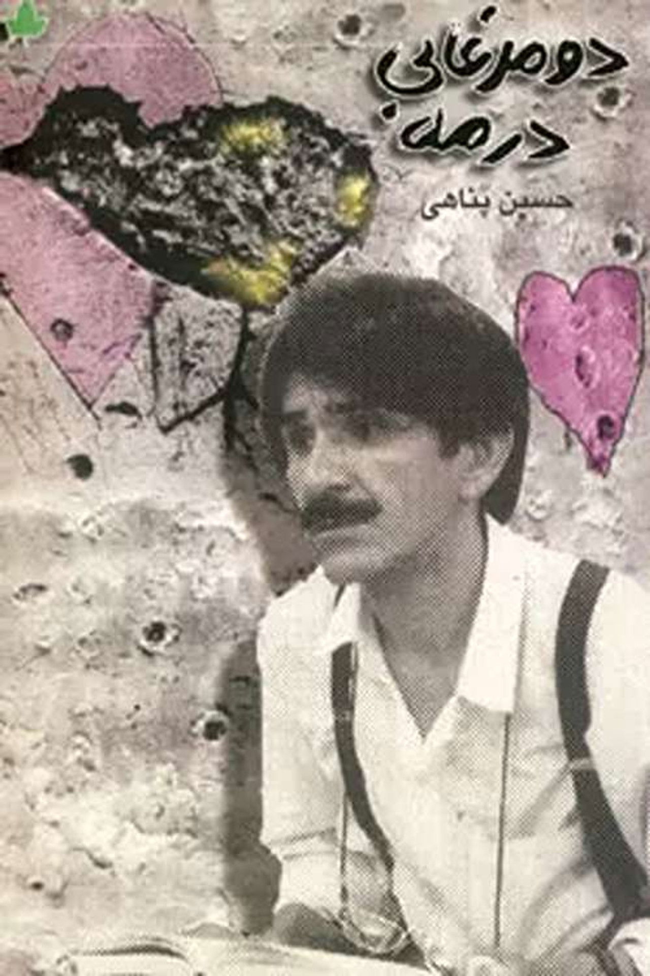 Two Ducks in the Fog Backdrop