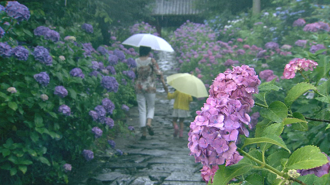Magical Japanese - Season 1 Episode 1 : Rain