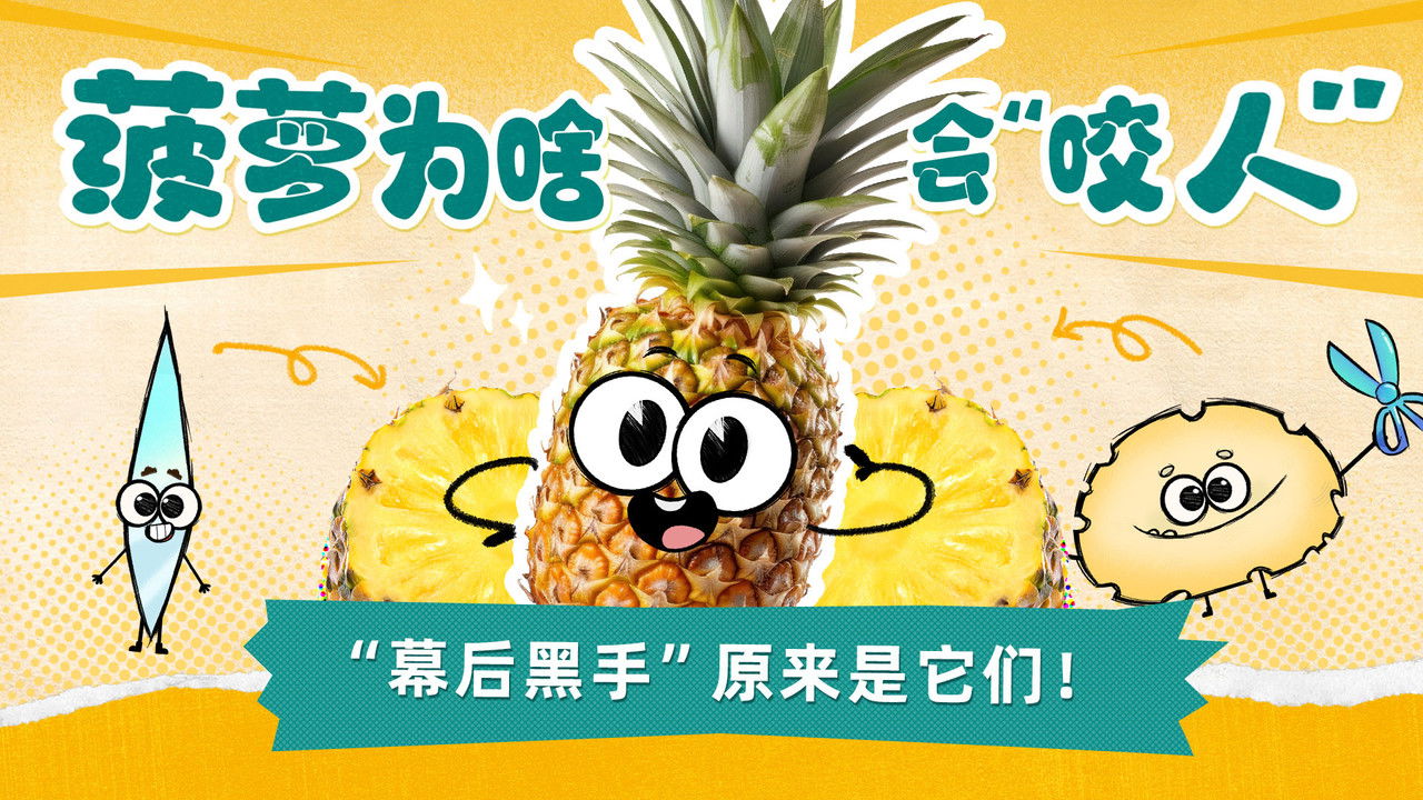 斑马百科探索 — Épisode 4