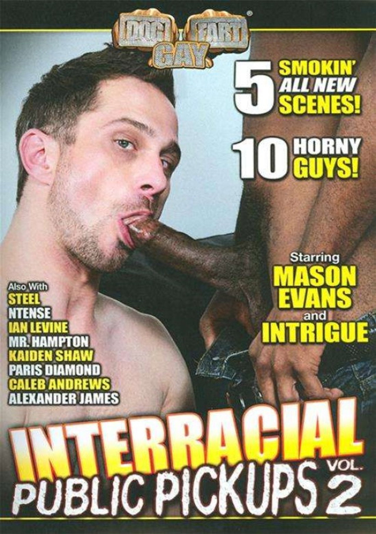 Interracial Public Pickups 2 filmaffisch