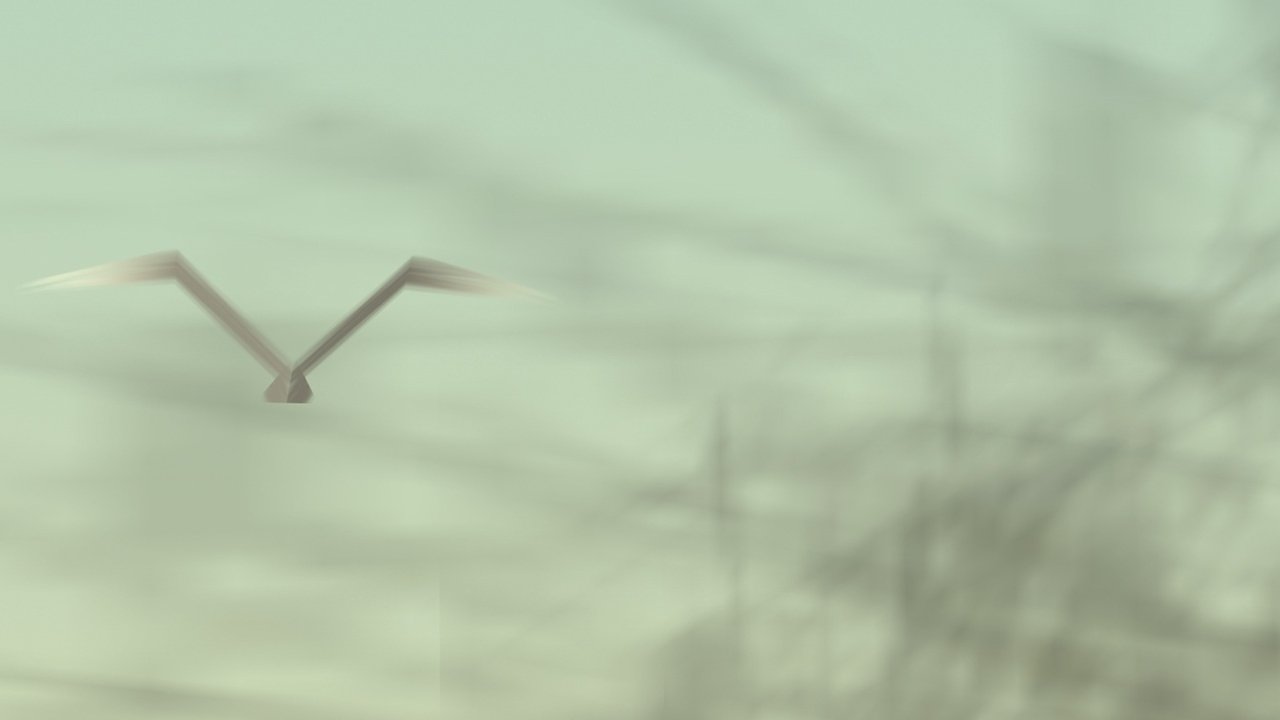 The Analogy of Space