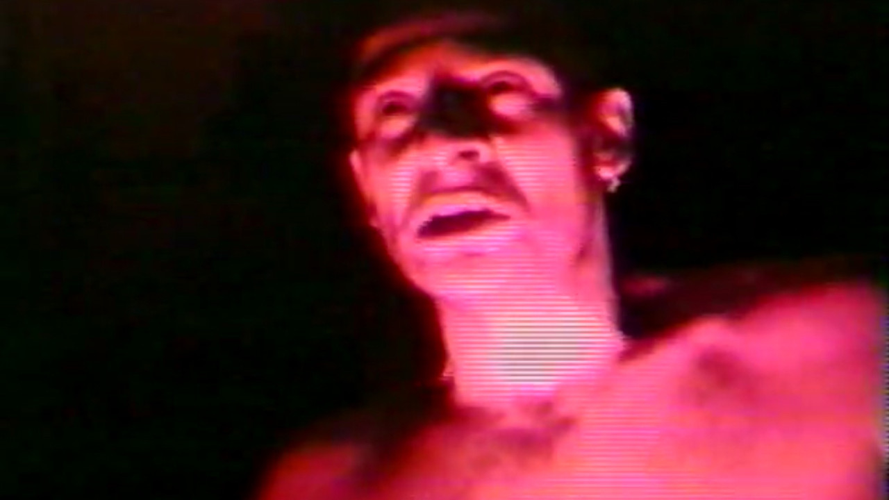 Schizophreniac: The Whore Mangler still 9
