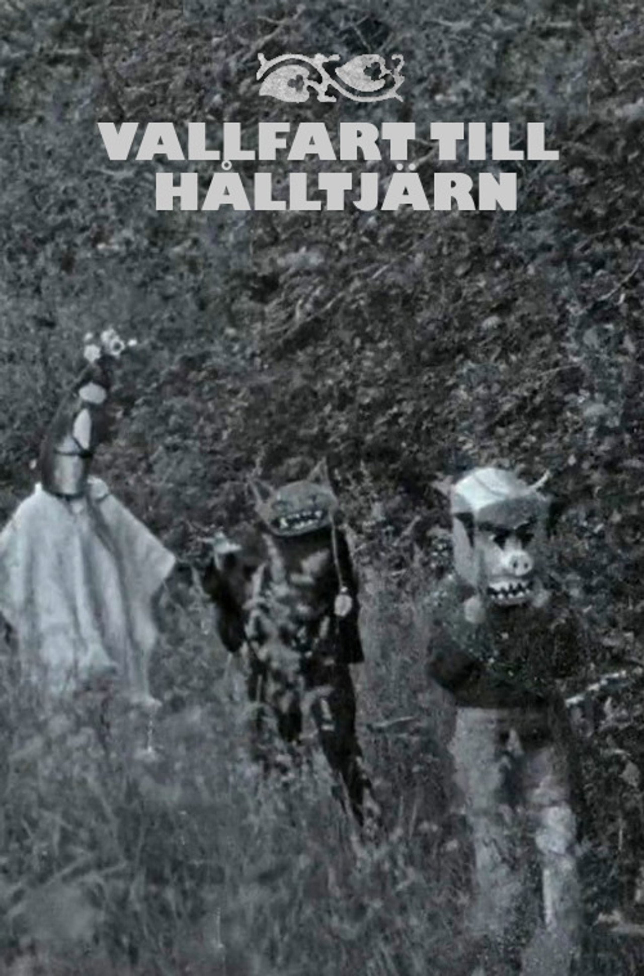 Vallfart till Halltjärn filmaffisch