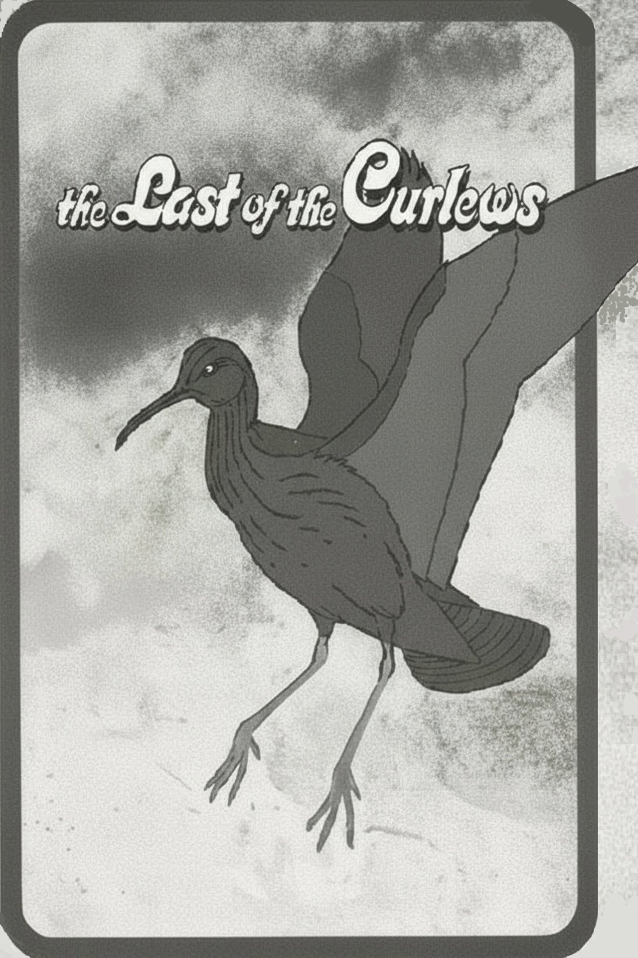 The Last of the Curlews