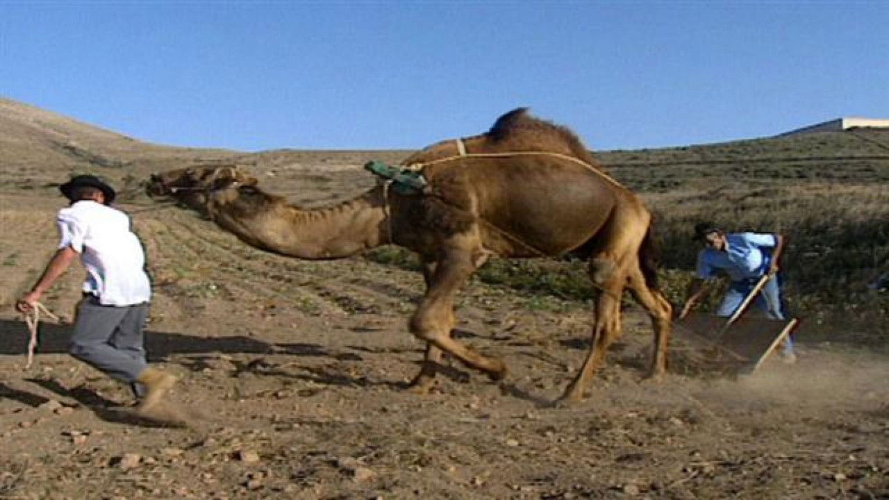 Senderos isleños — Épisode 2