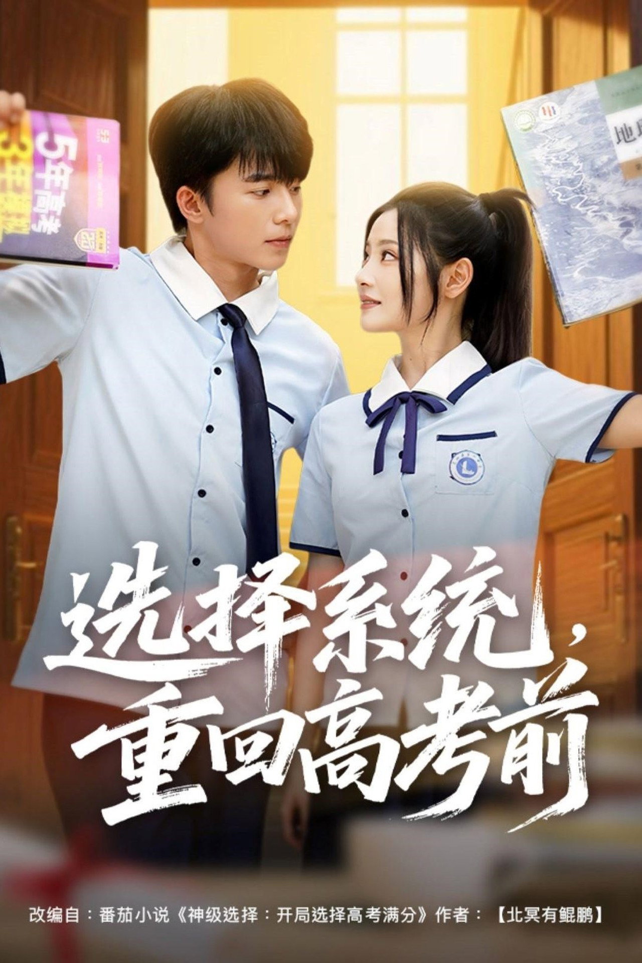 选择系统,重回高考前 affisch