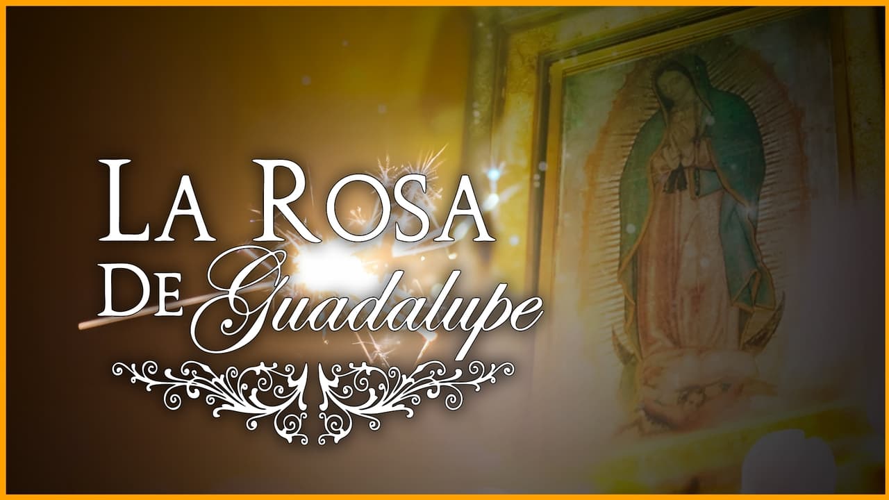 La rosa de Guadalupe - Season 9