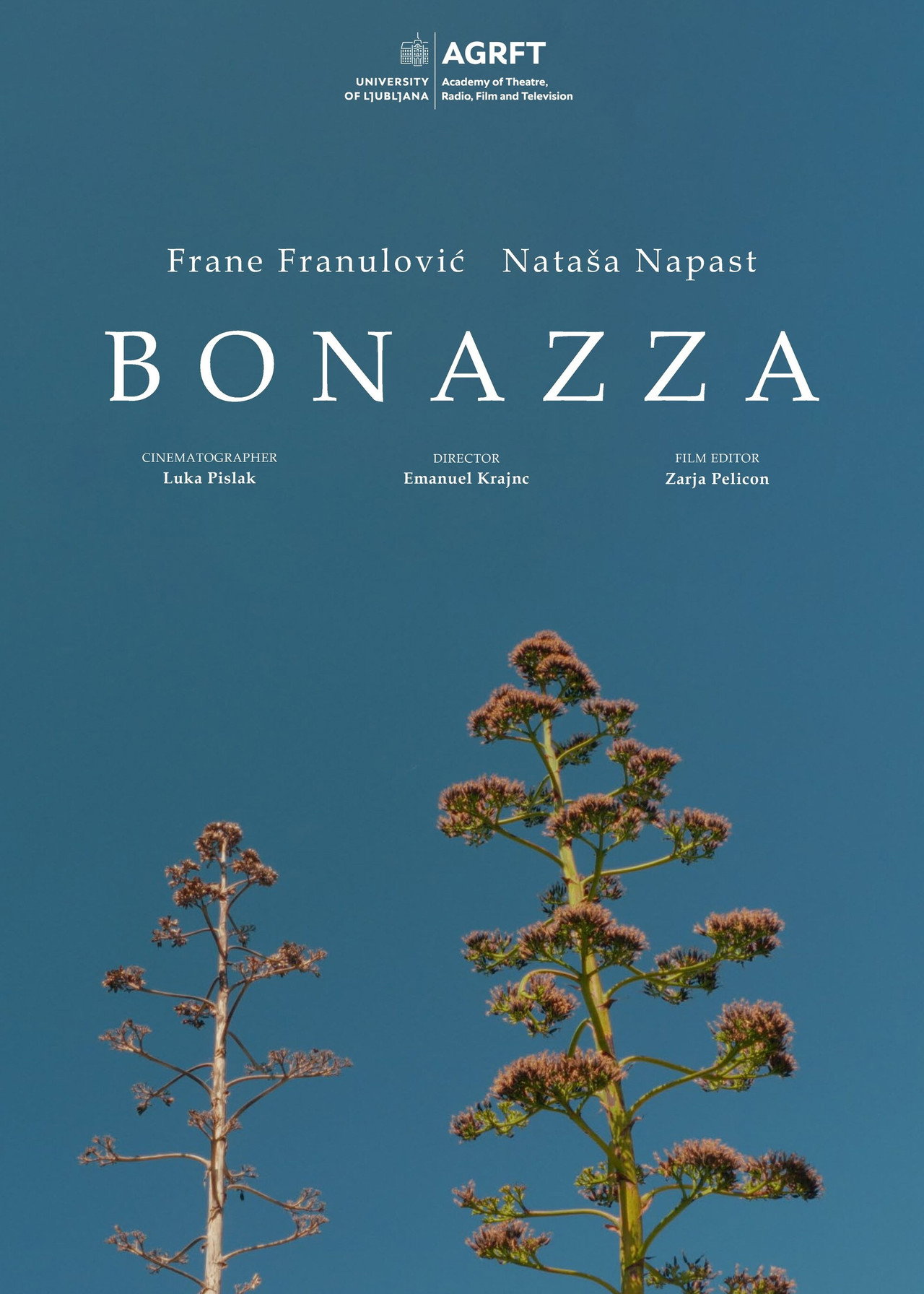 Bonaca filmaffisch