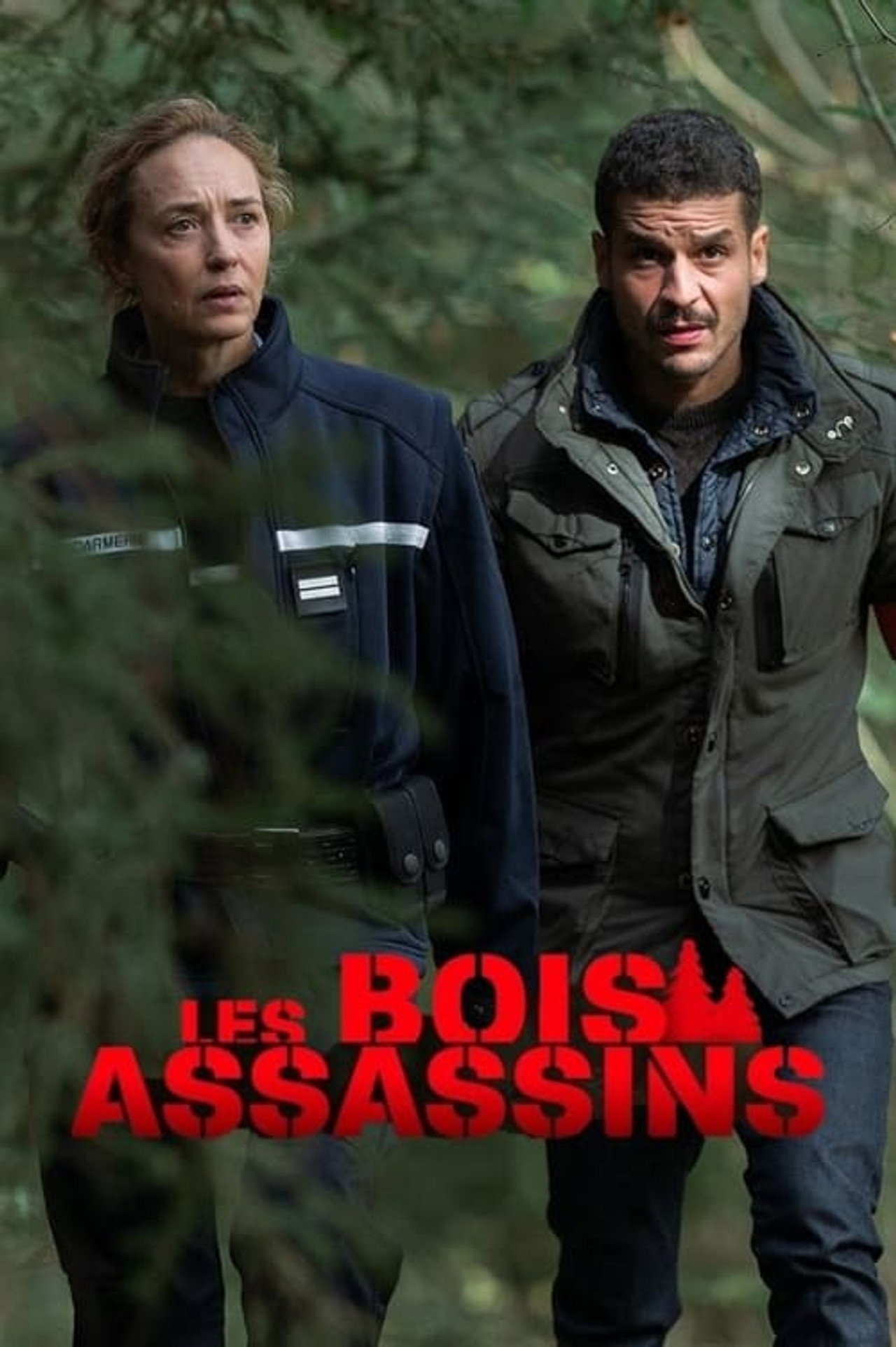 Les Bois assassins