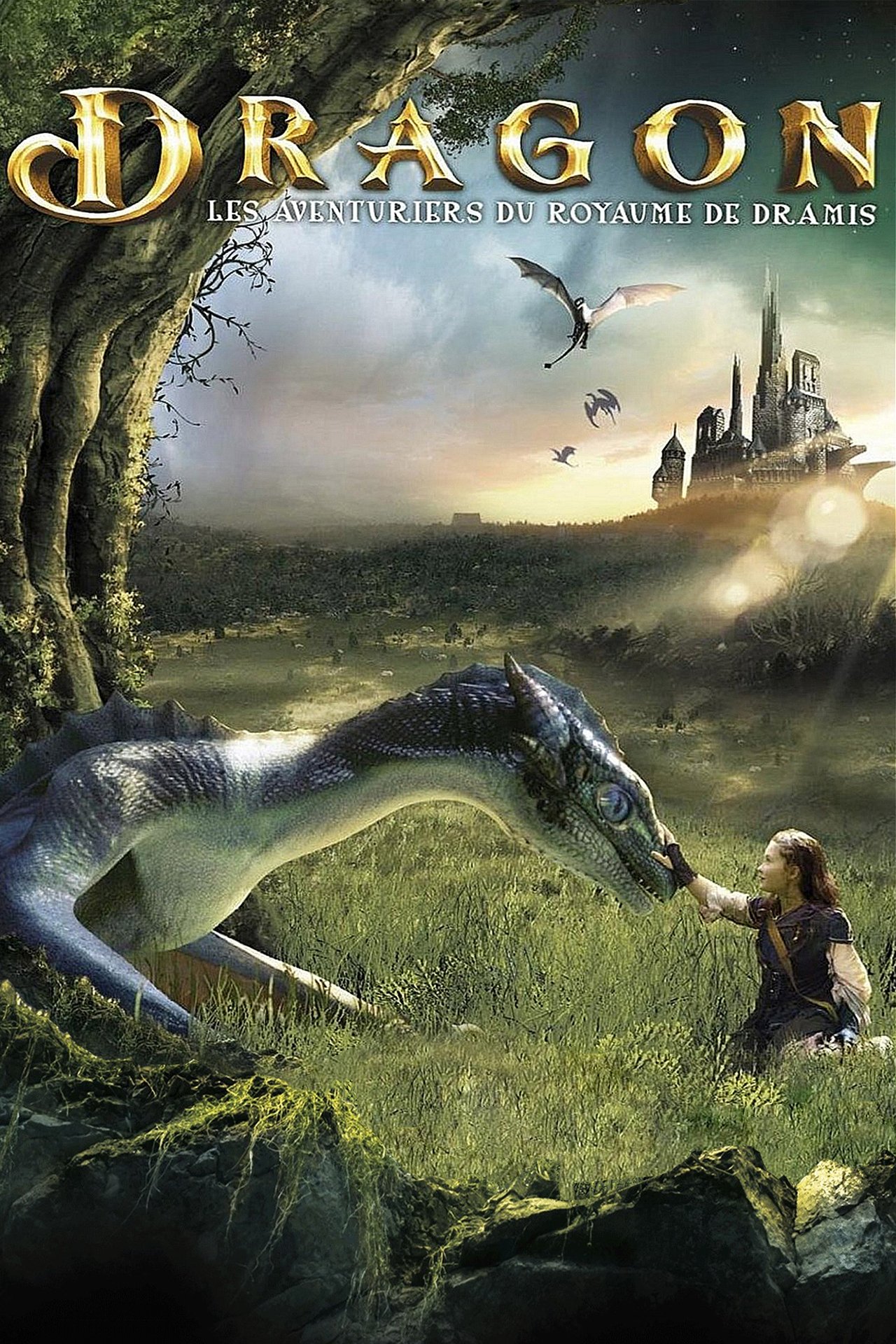 Dragon : Les Aventuriers du royaume de Dramis poster