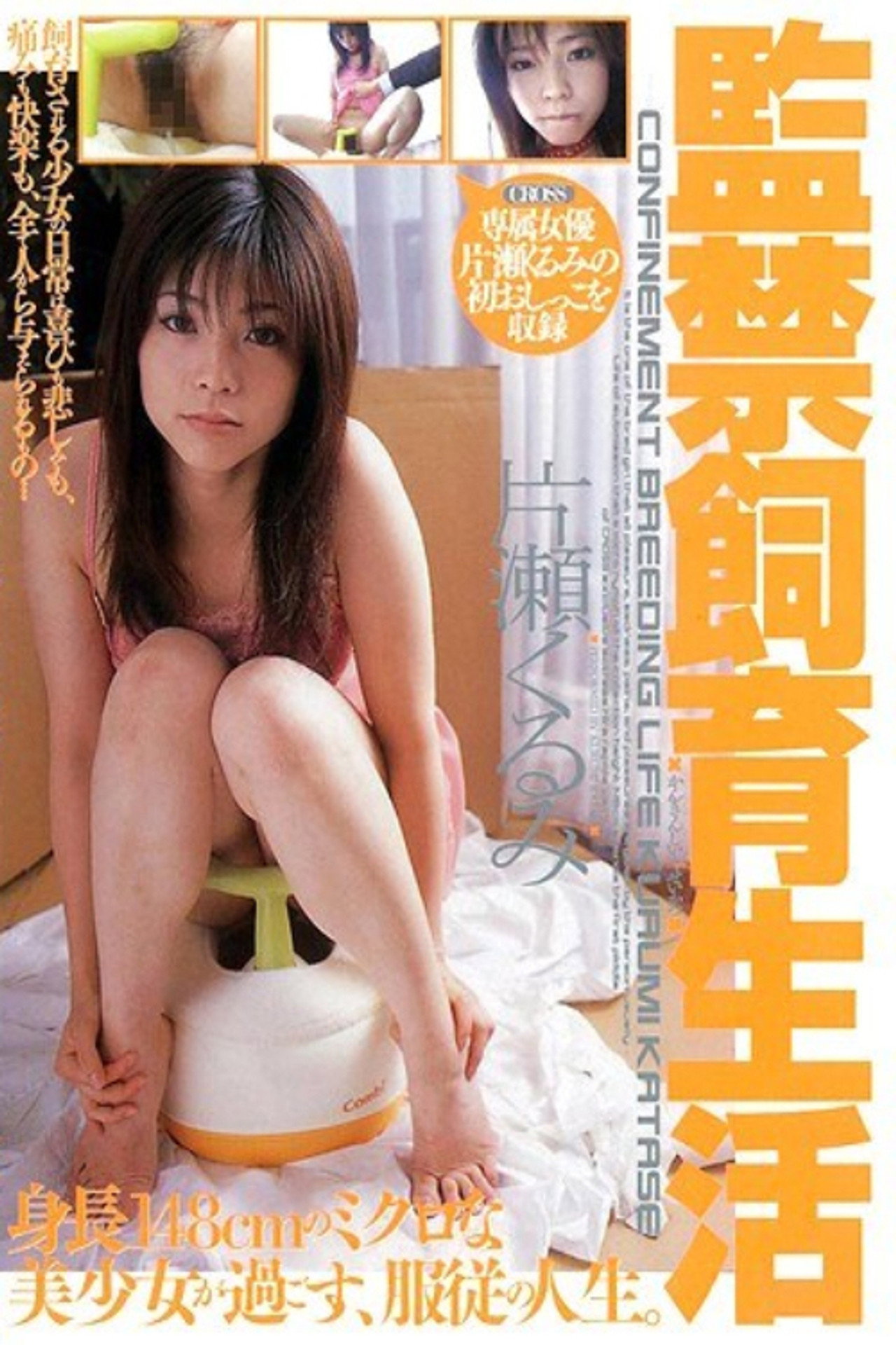 監禁飼育生活 片瀬くるみ filmaffisch