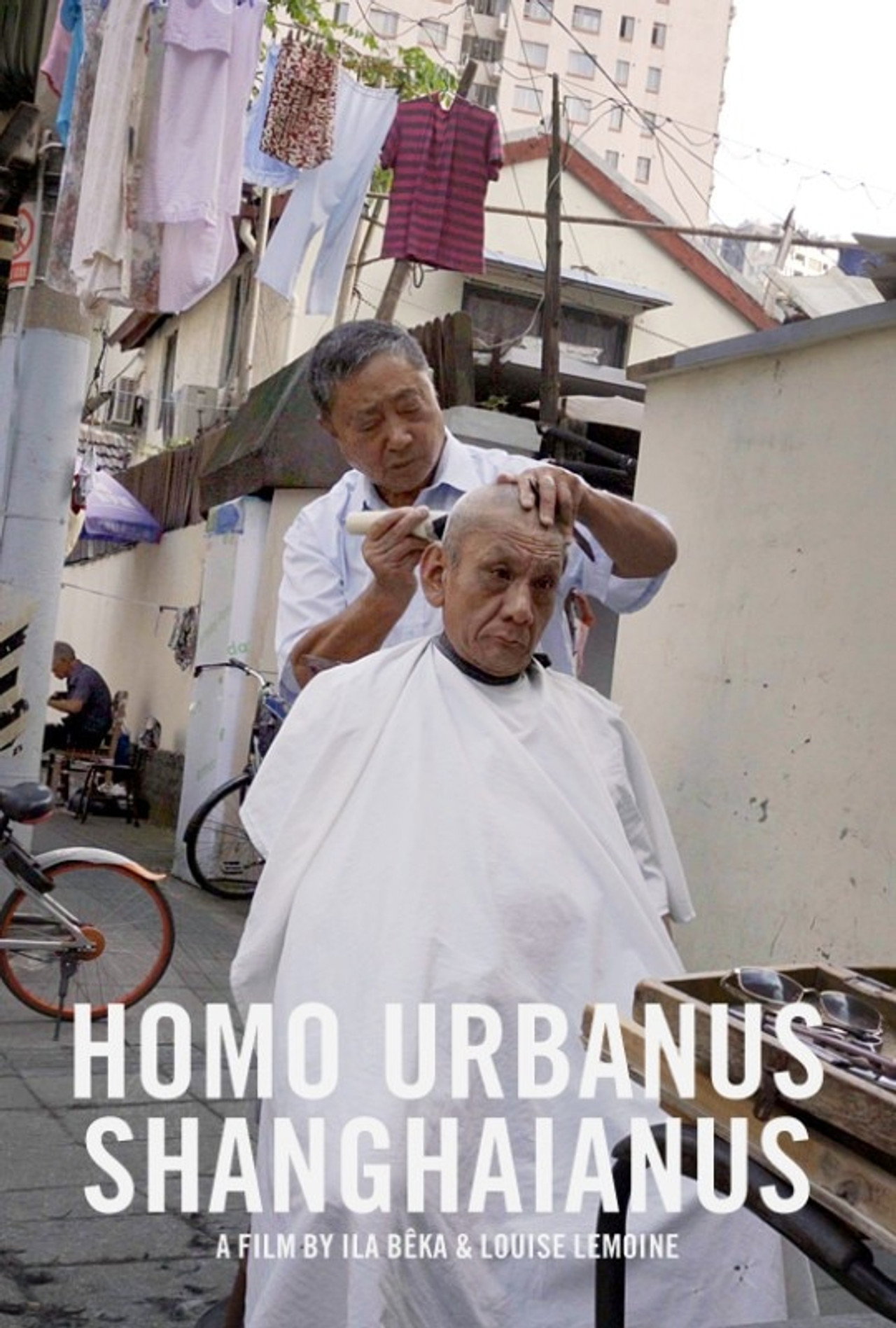 Homo Urbanus Shanghaianus (2020)