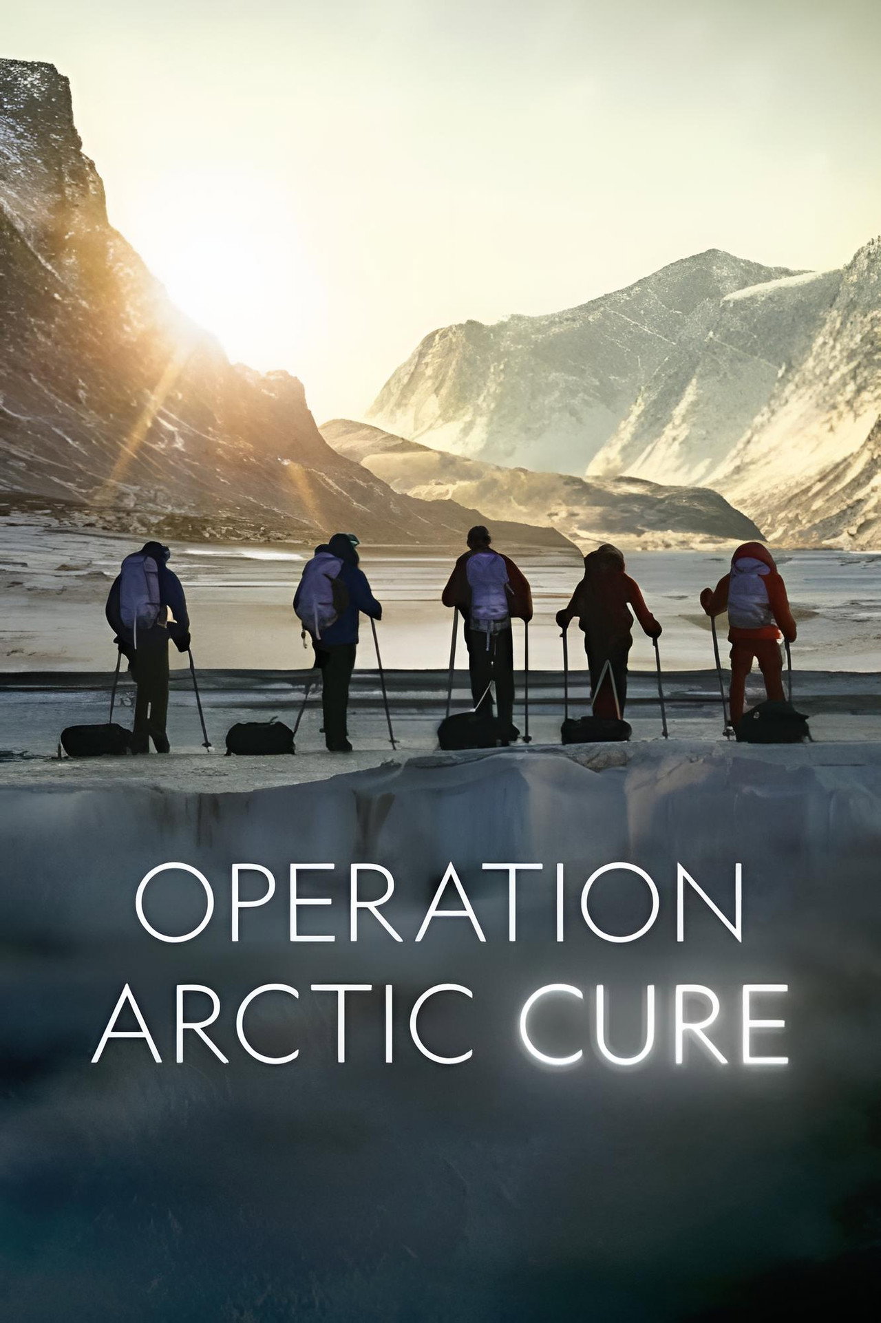 Operation Arctic Cure filmaffisch