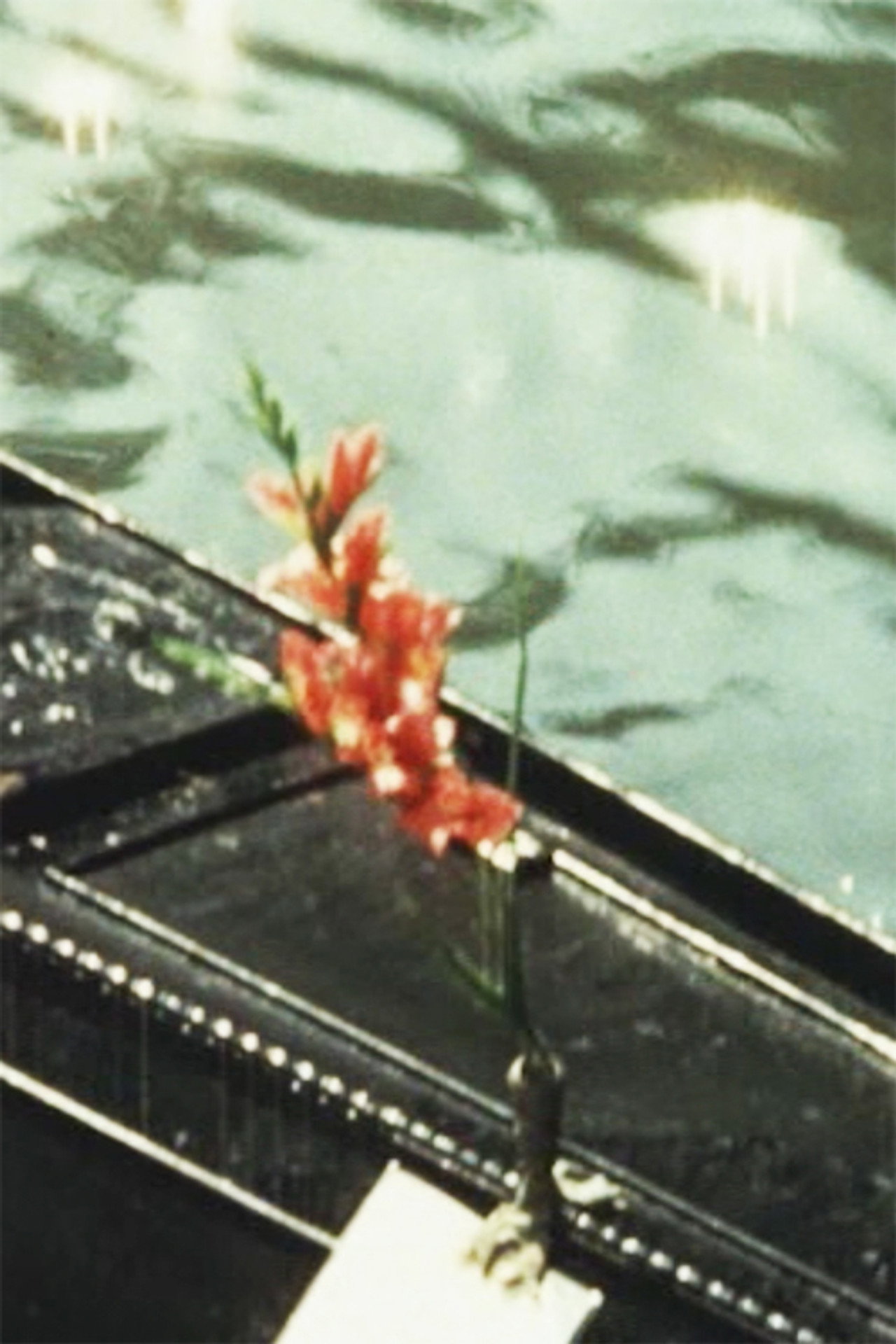Home Movies - Rome/Florence/Venice/Greece filmaffisch