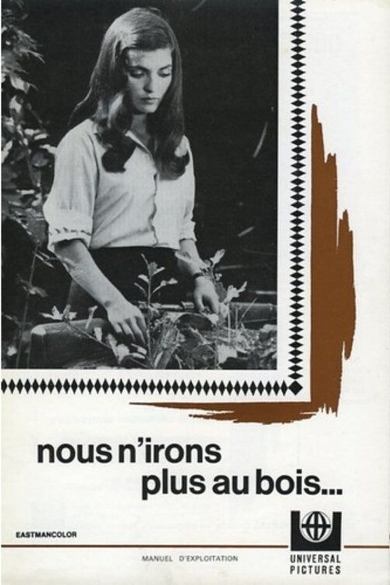 Nous n'irons plus au bois poster