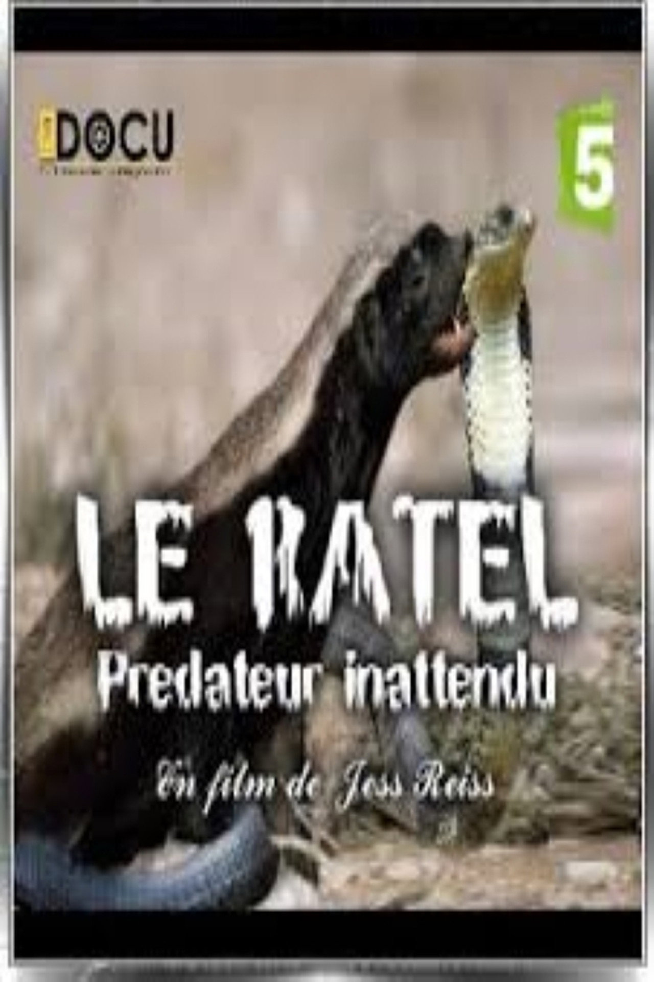 Le ratel prédateur inattendu filmaffisch