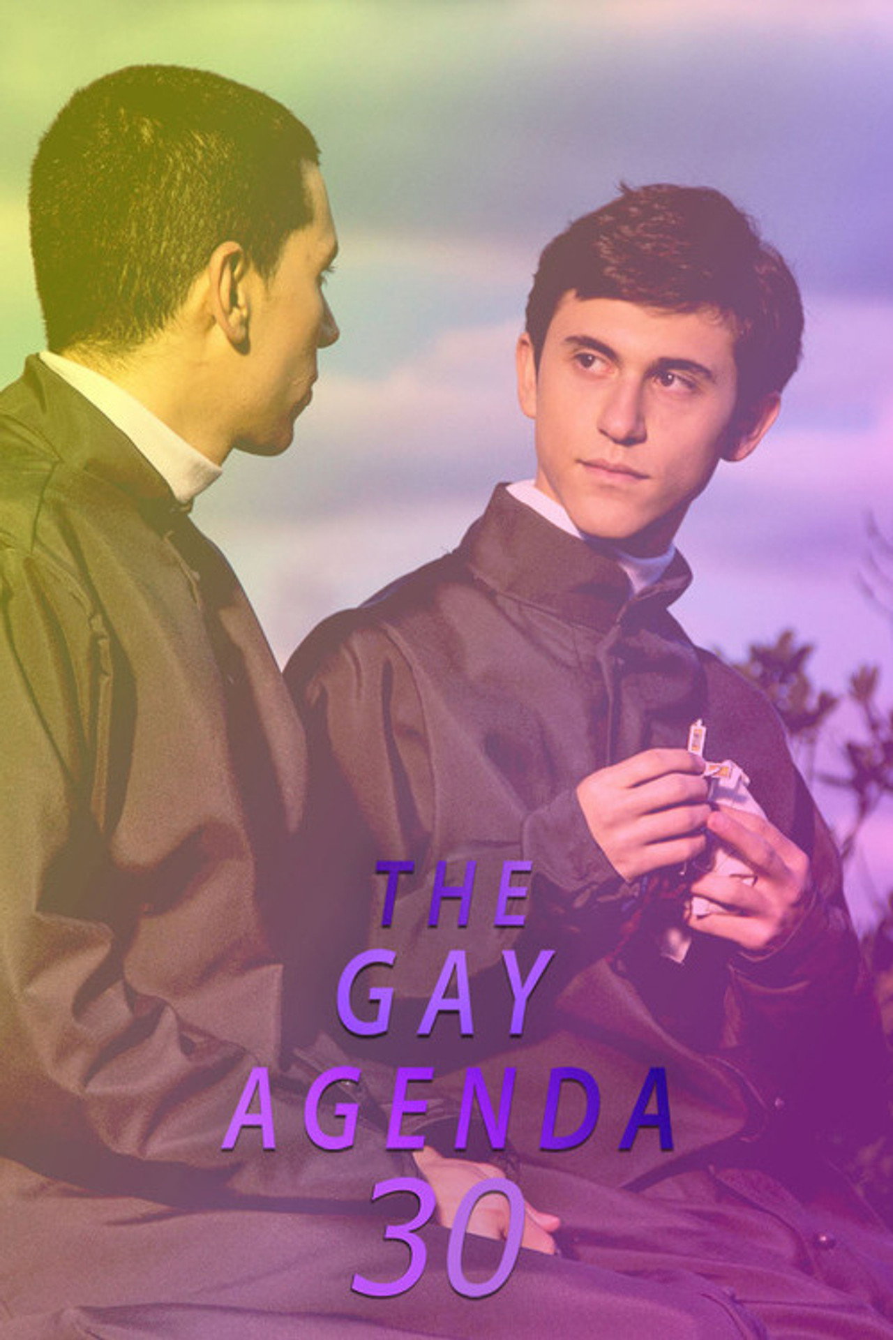 The Gay Agenda 30 filmaffisch