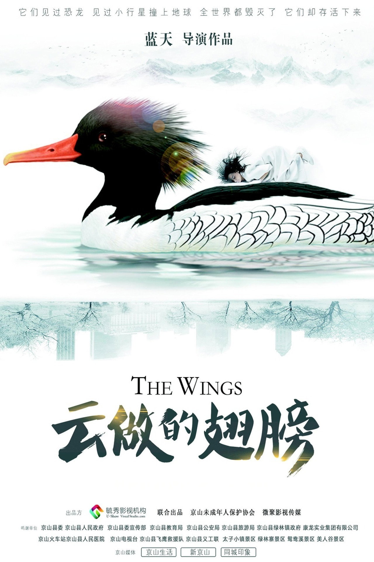 云做的翅膀 filmaffisch