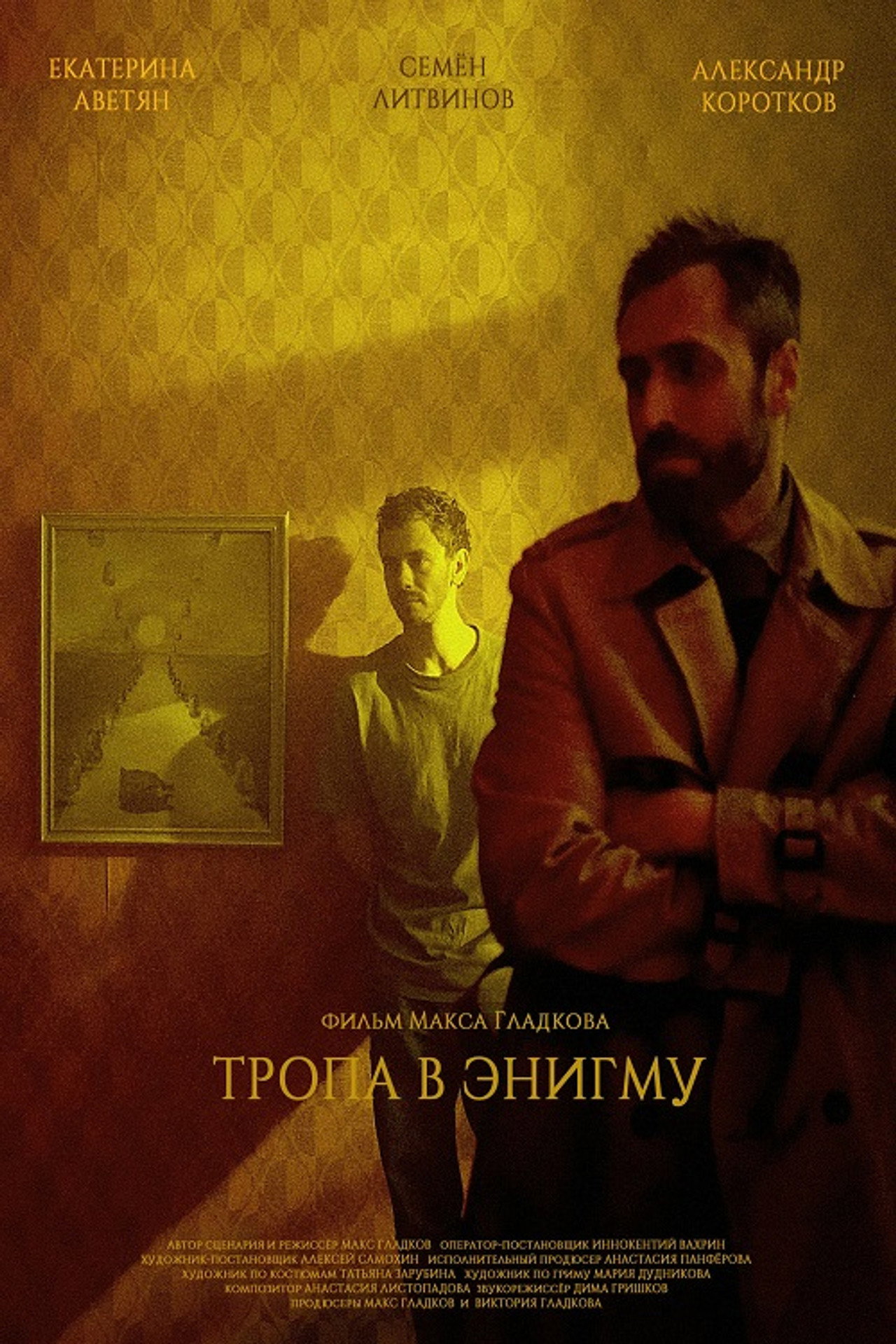 Тропа в Энигму filmaffisch
