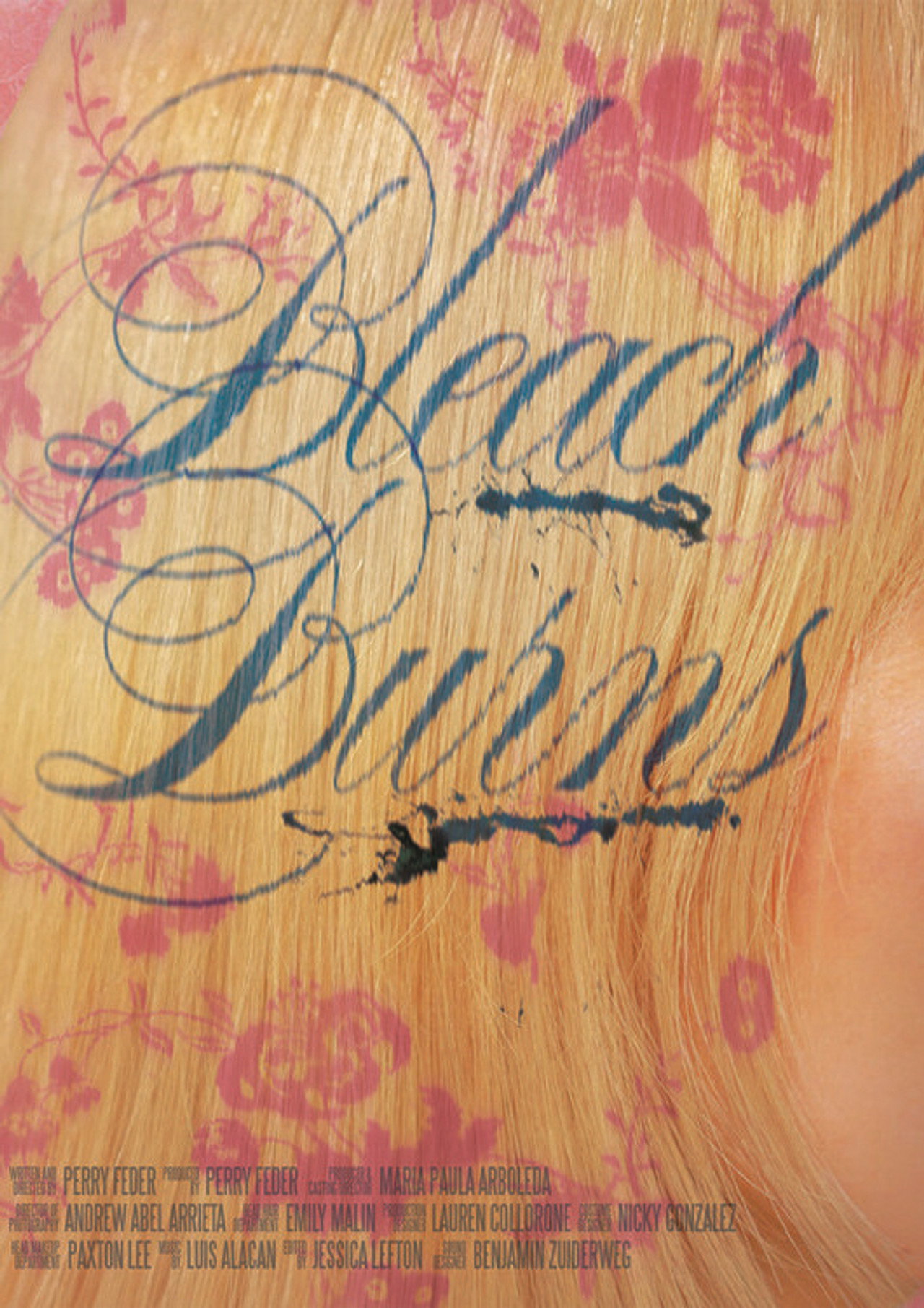 Bleach Burns poster