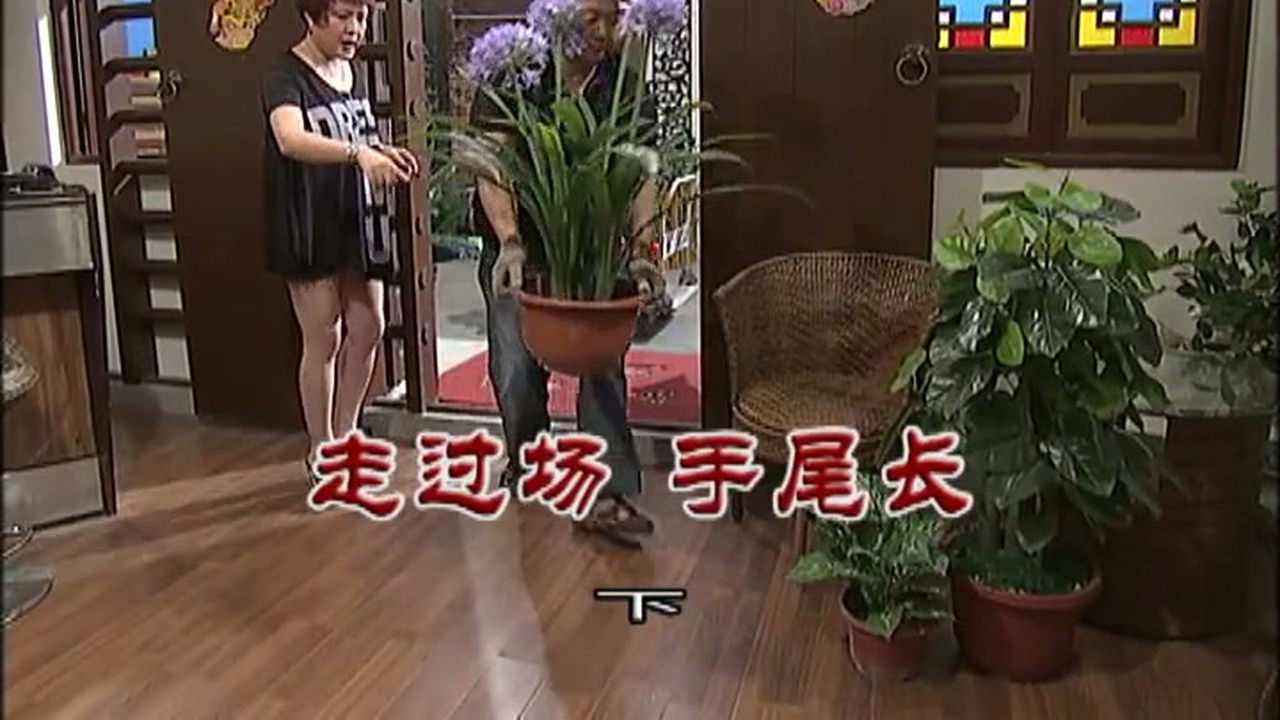 外来媳妇本地郎 — Épisode 3019