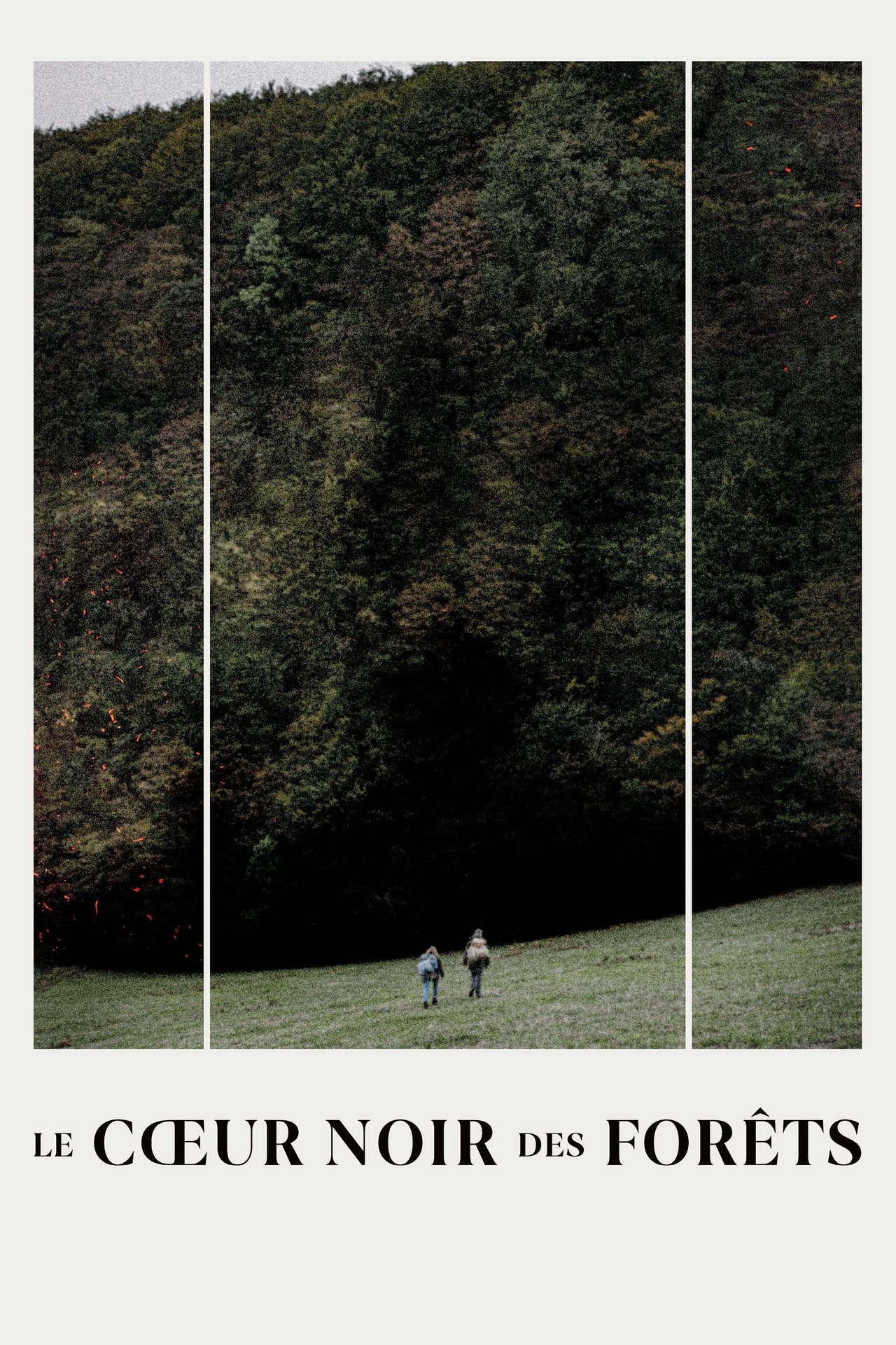 Le Cœur Noir des Forêts poster