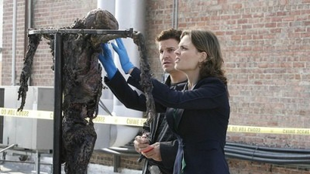 Bones - Season 2 Episode 11 : Judas on a Pole