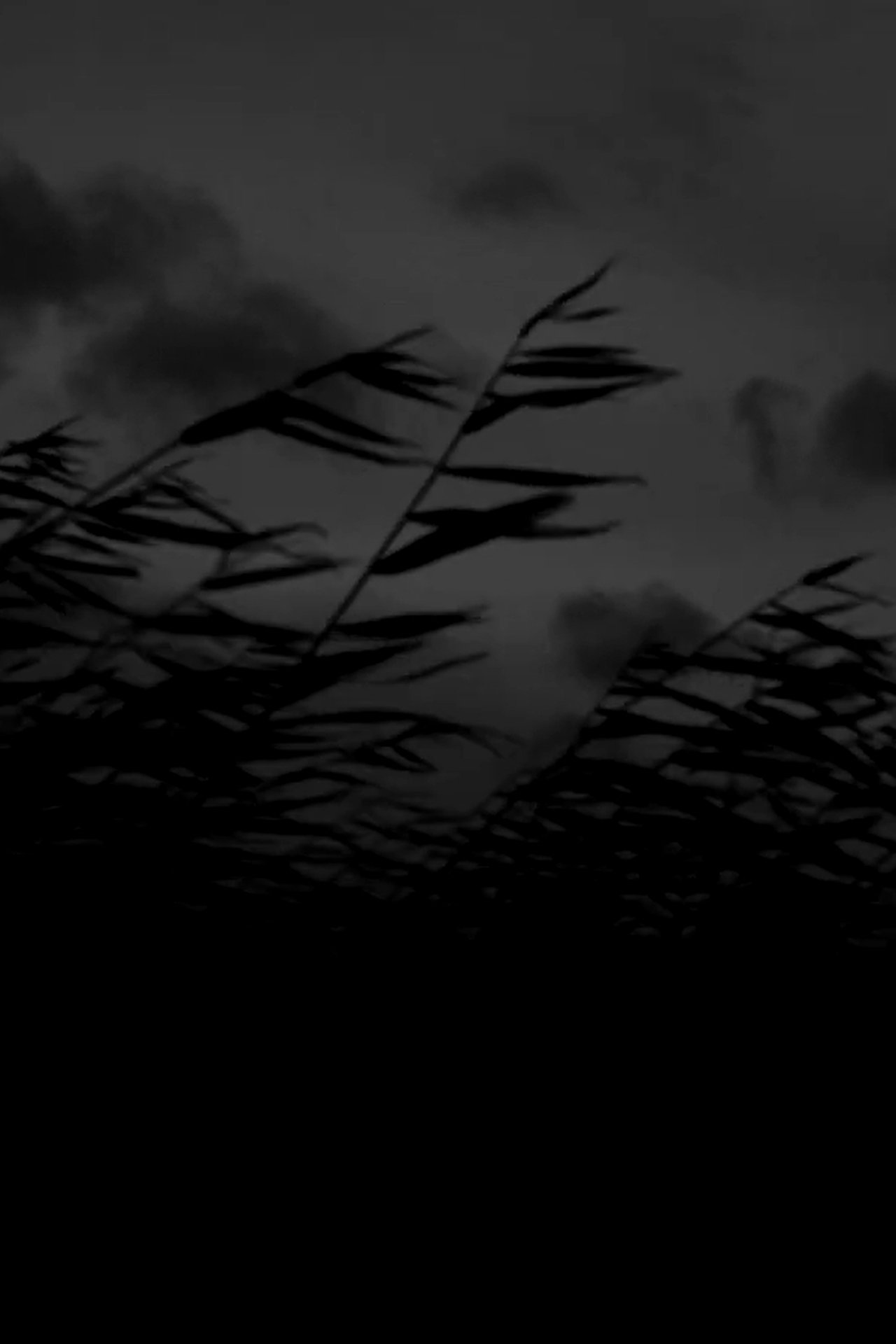 Recommendations image