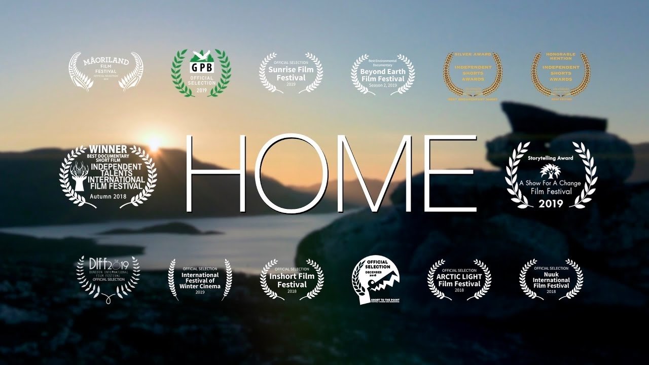 Home movie poster