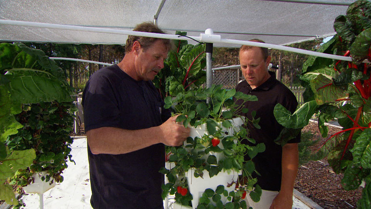 Ask This Old House - Season 13 Episode 9 : Hydroponic Garden; Hot- and Cold-Water Outdoor Faucet