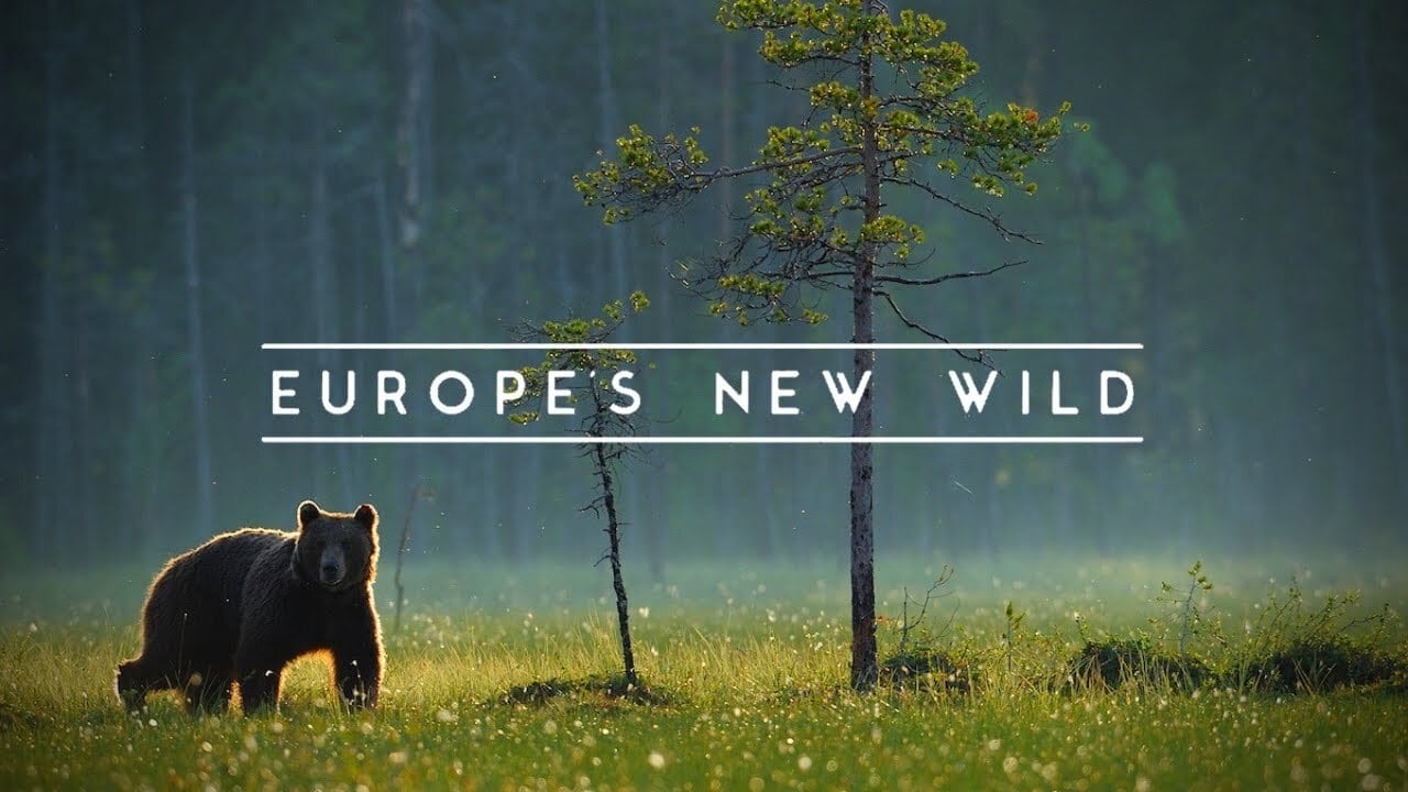 Europe's New Wild background
