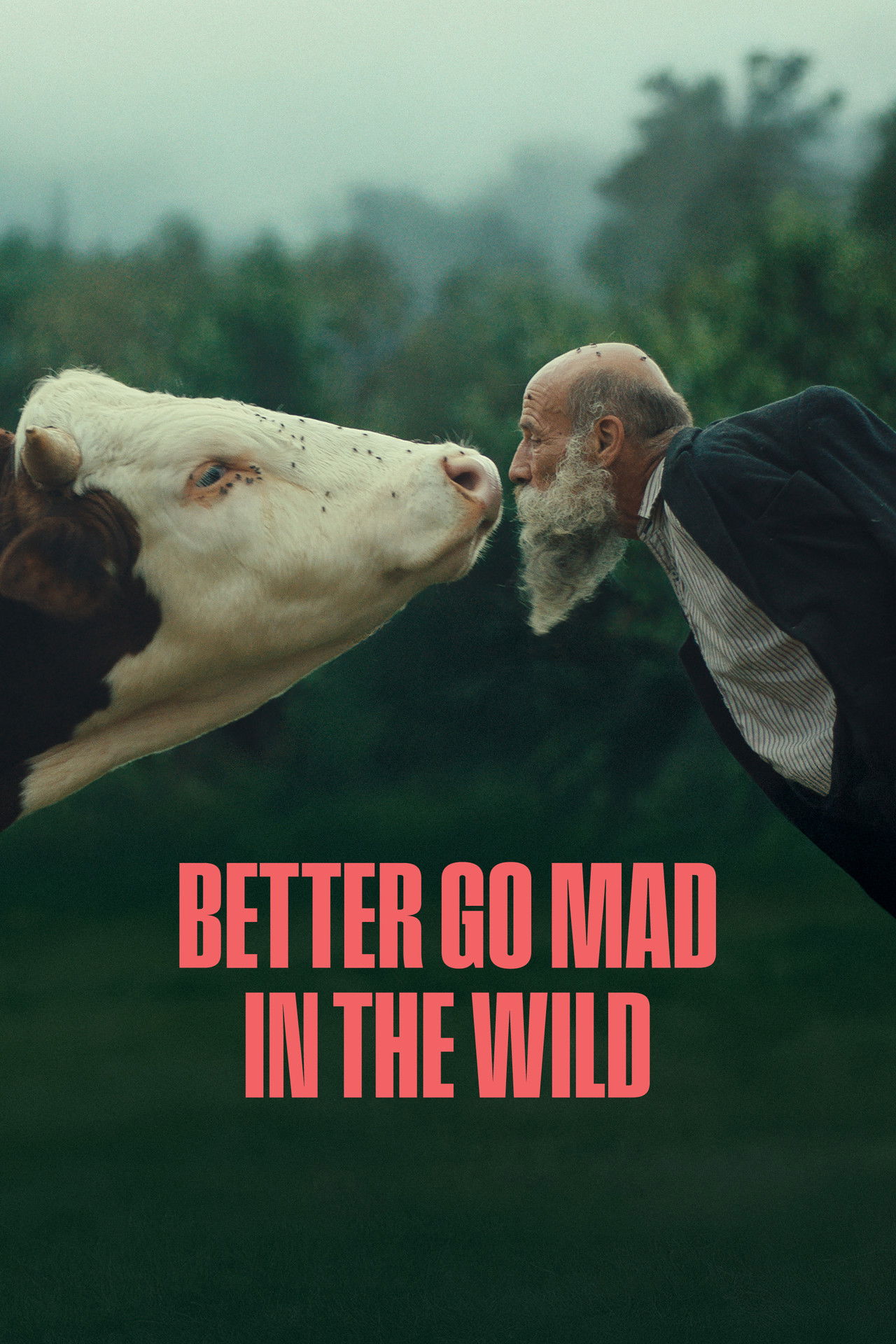 Better Go Mad in the Wild poster
