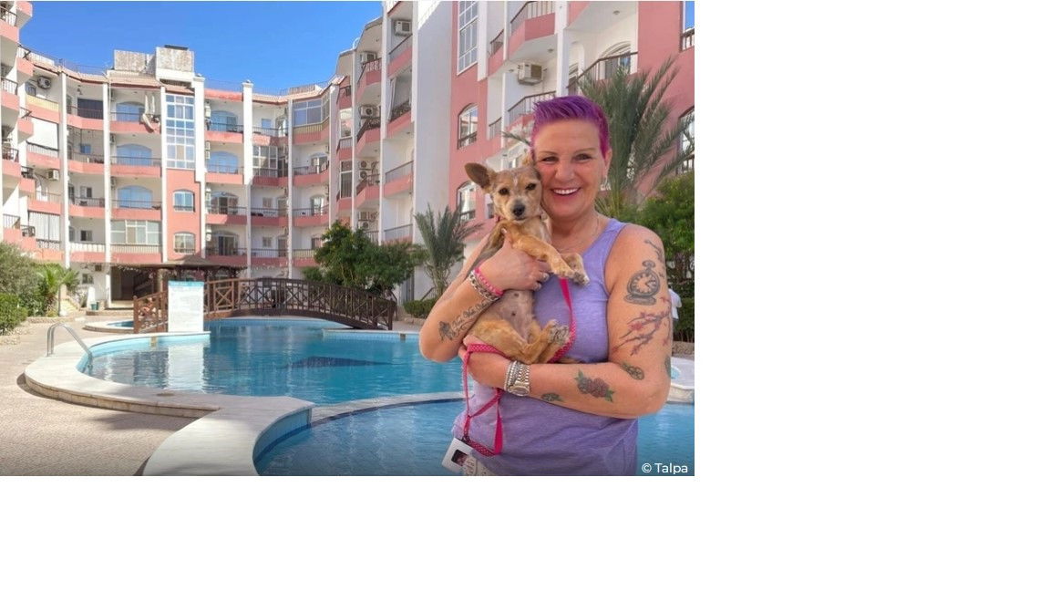 Het Roer Om - Season 5 Episode 1 : Episode 1