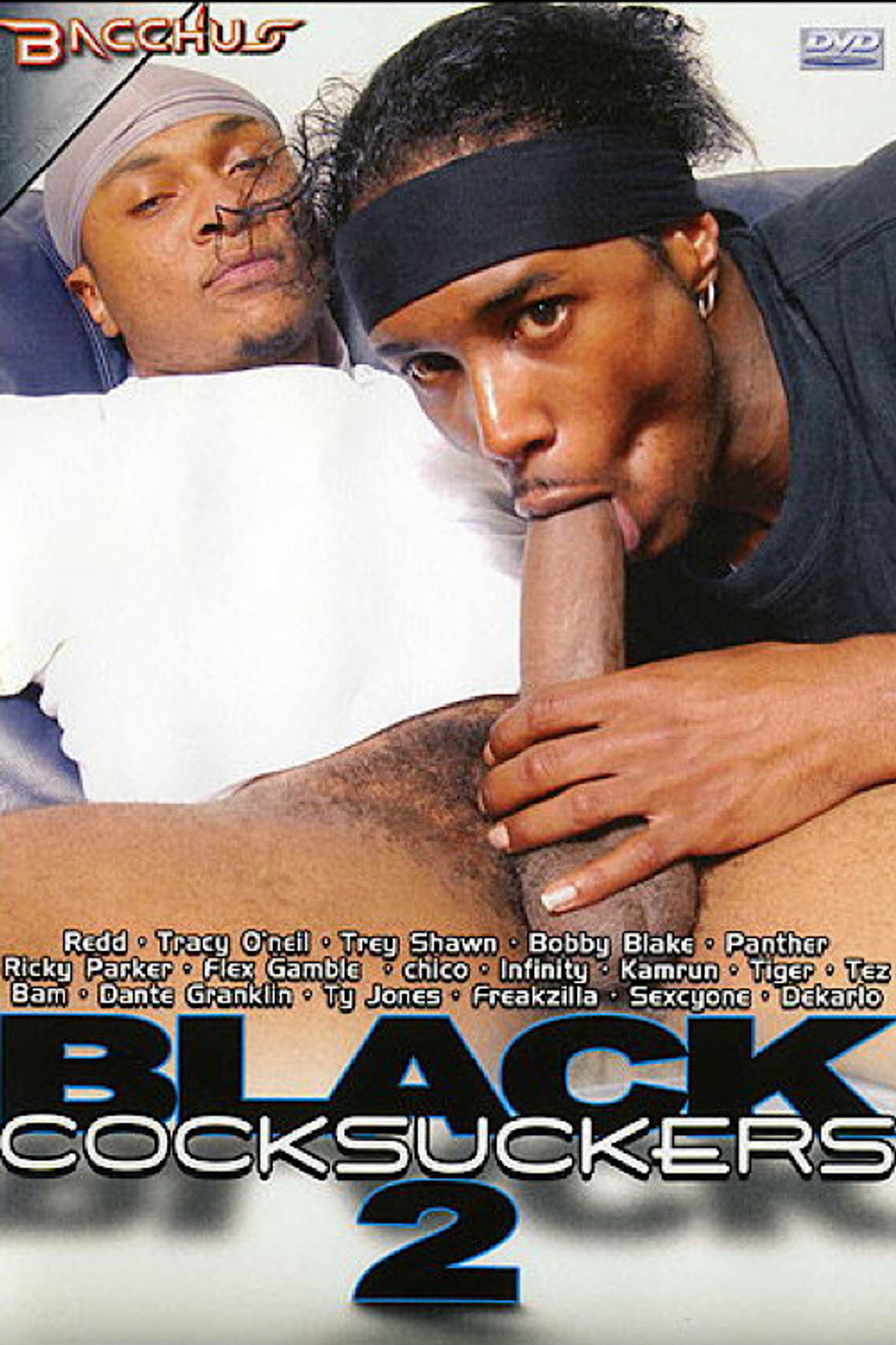 Black Cocksuckers 2 filmaffisch