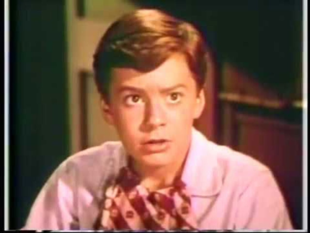 Mon amie Flicka — Le Cheval blanc