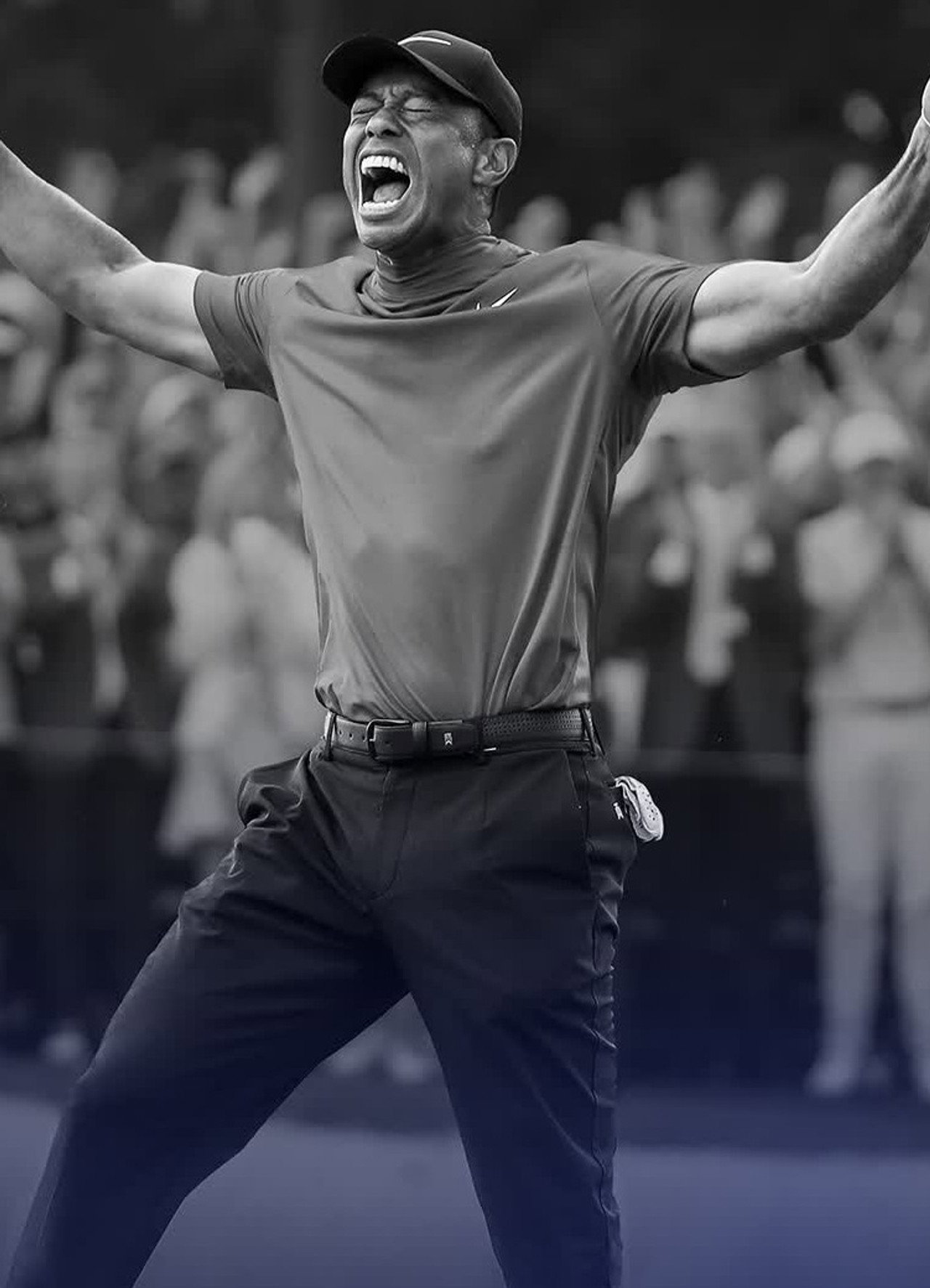 Tiger Woods: Back