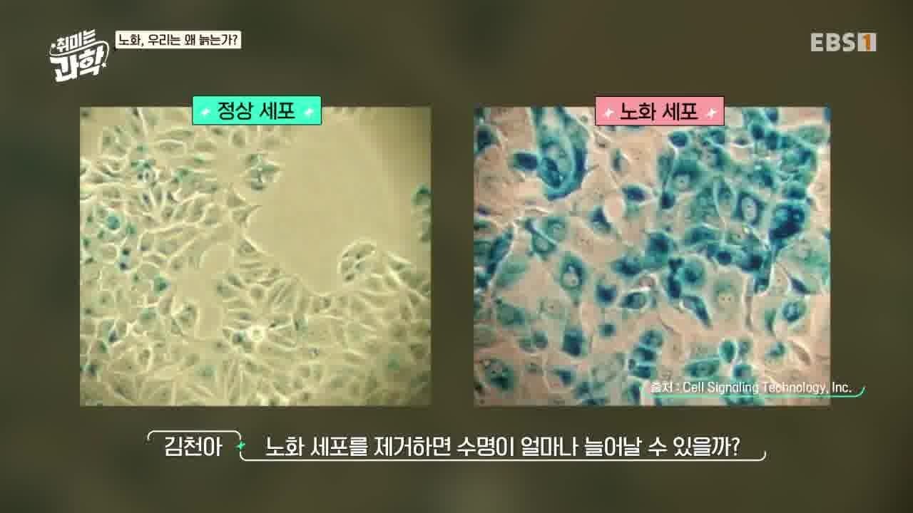 취미는 과학 - Season 1 Episode 4 : Episode 4