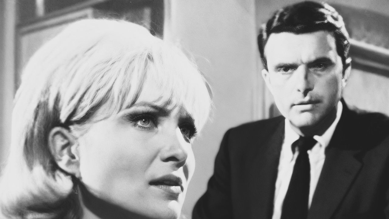 Peyton Place — Épisode 113