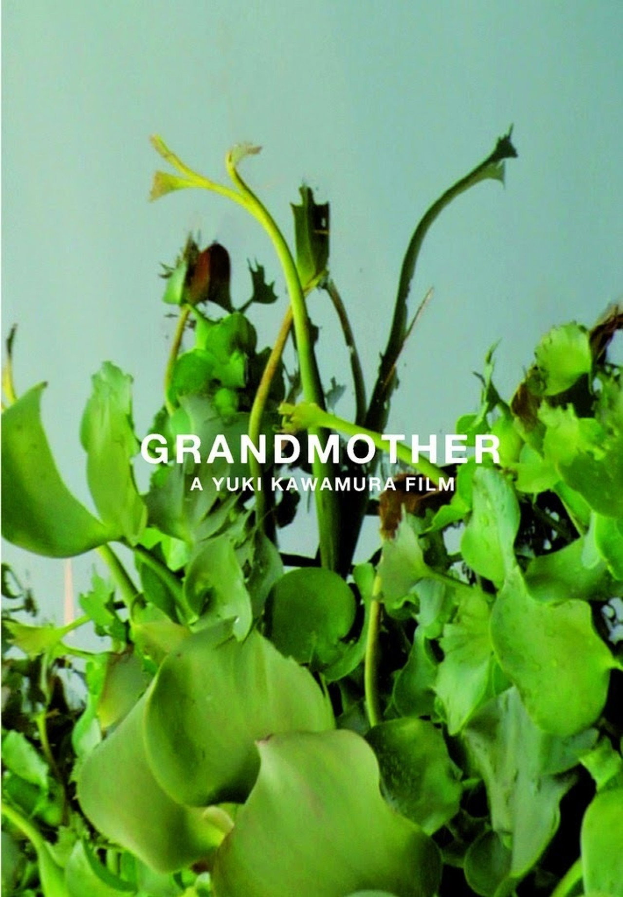 Grandmother filmaffisch