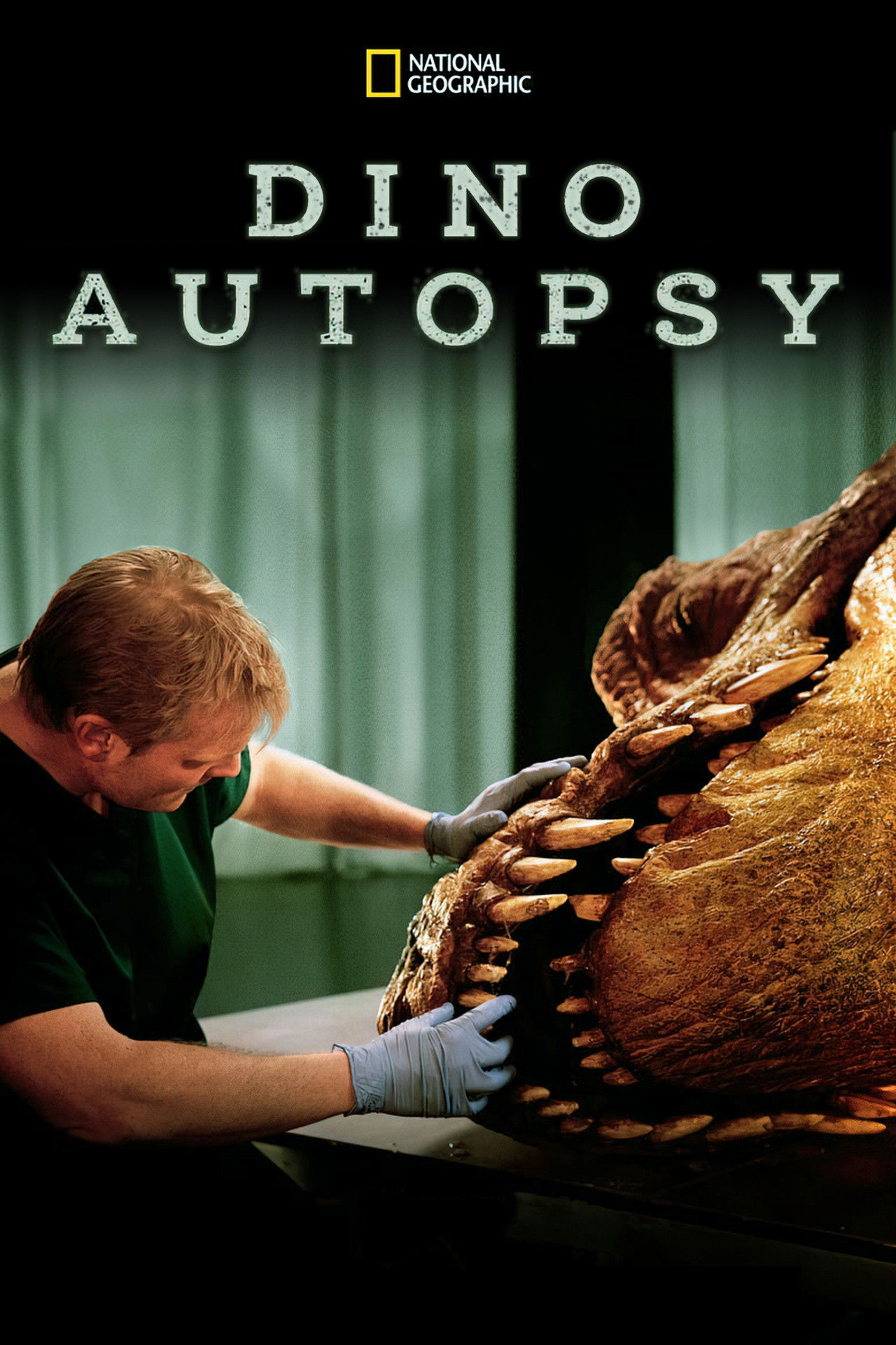 National Geographic - Dino Autopsy Backdrop