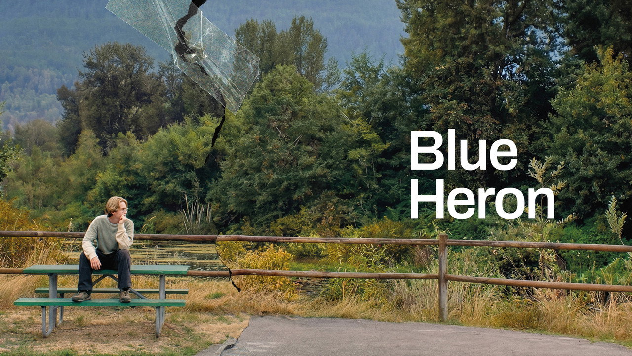 Blue Heron background 24