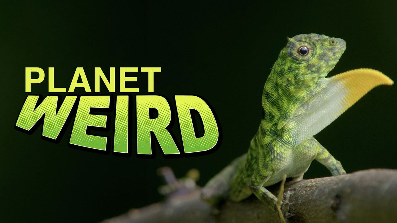 Planet Weird official wallpaper